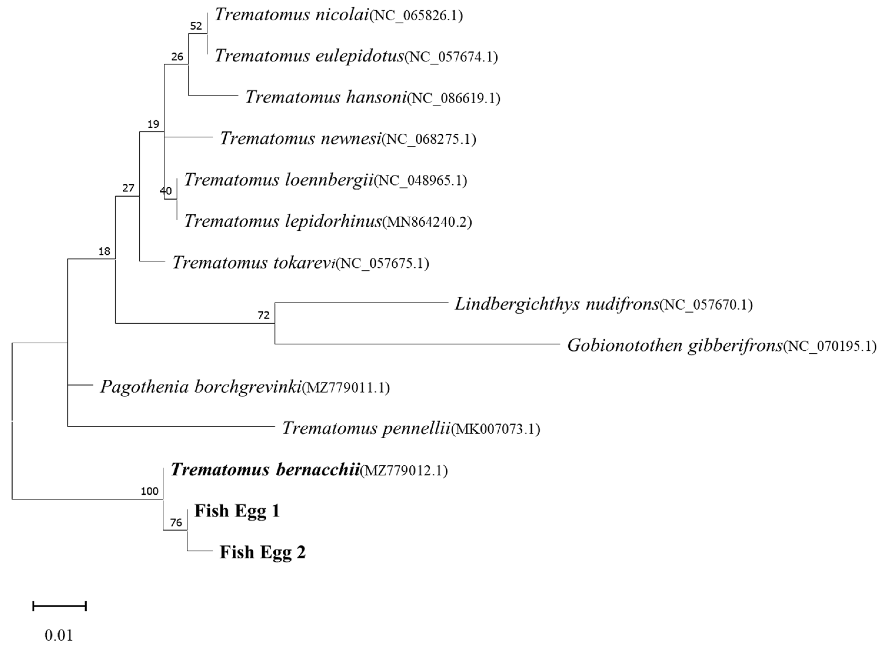 Fishes 10 00058 g002