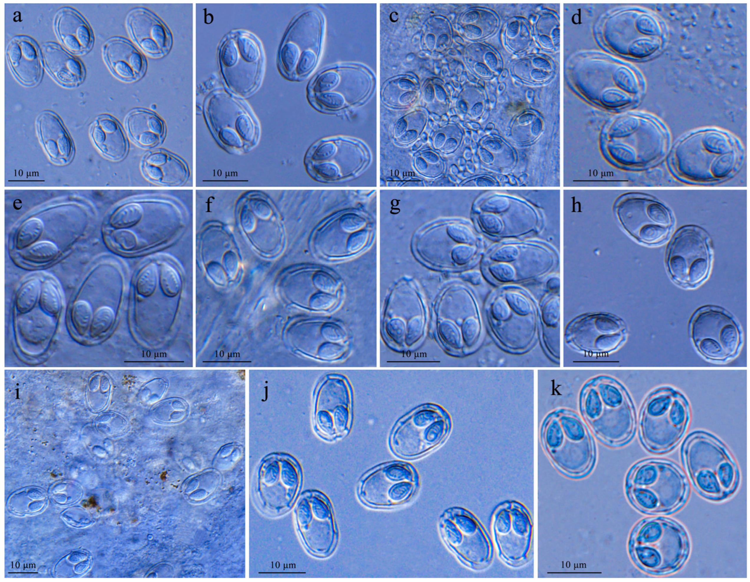 Fishes 10 00061 g002 Fishes 10 00061 g002