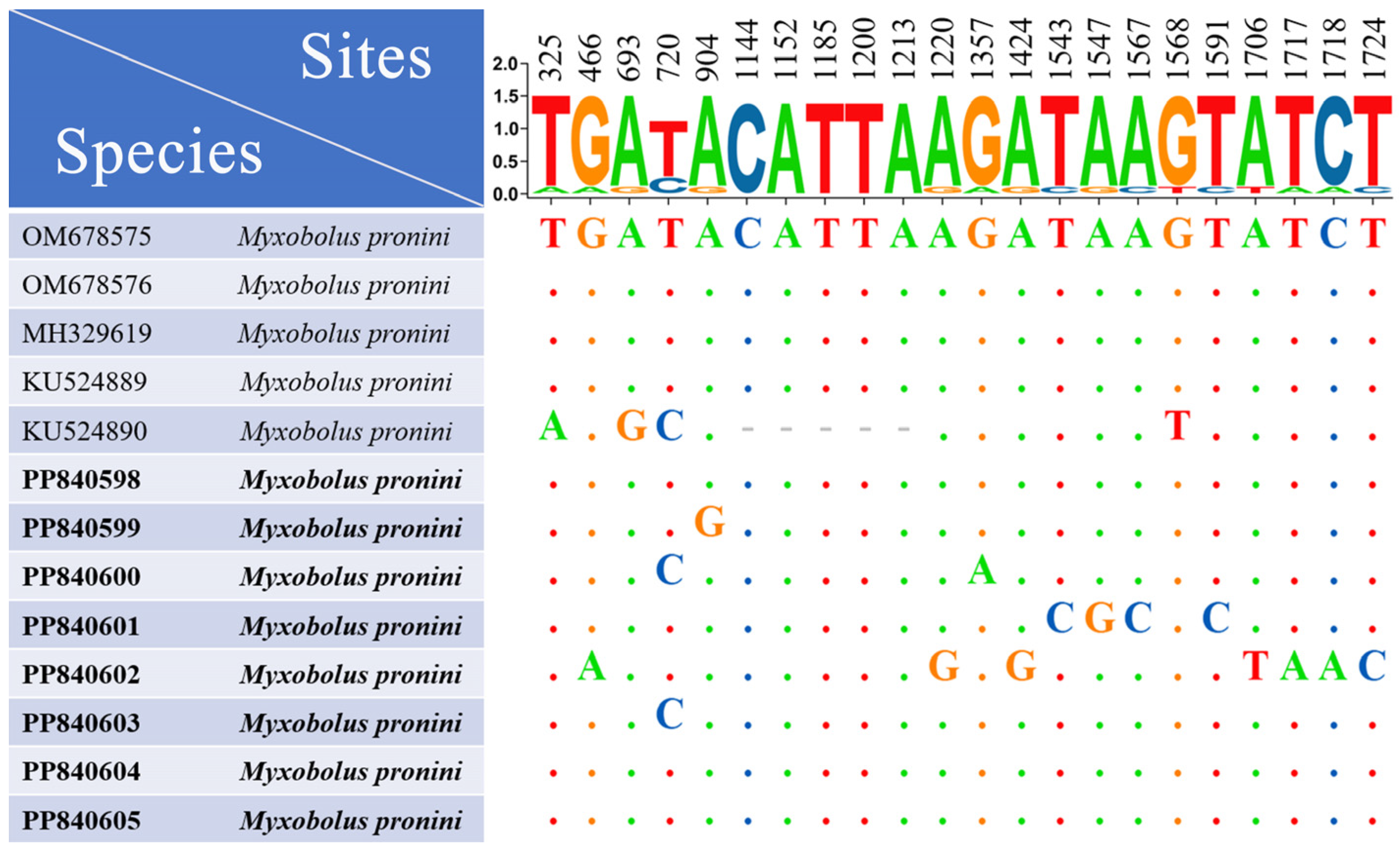 Fishes 10 00061 g004 Fishes 10 00061 g004
