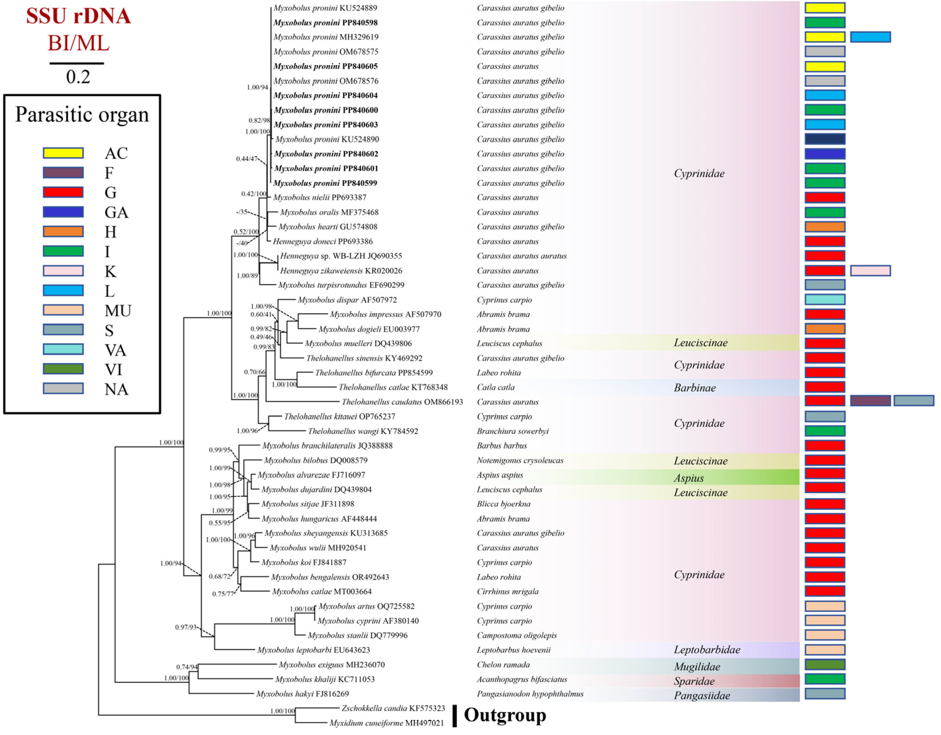 Fishes 10 00061 g006 Fishes 10 00061 g006