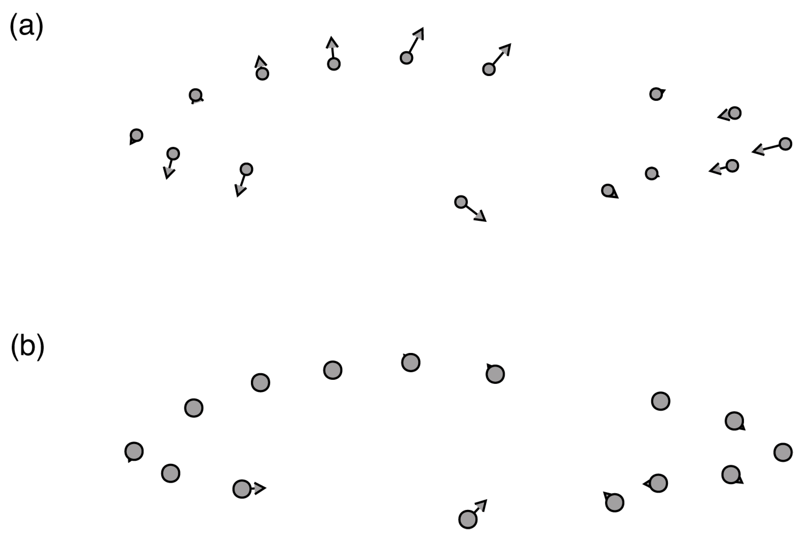 Fishes 10 00062 g006