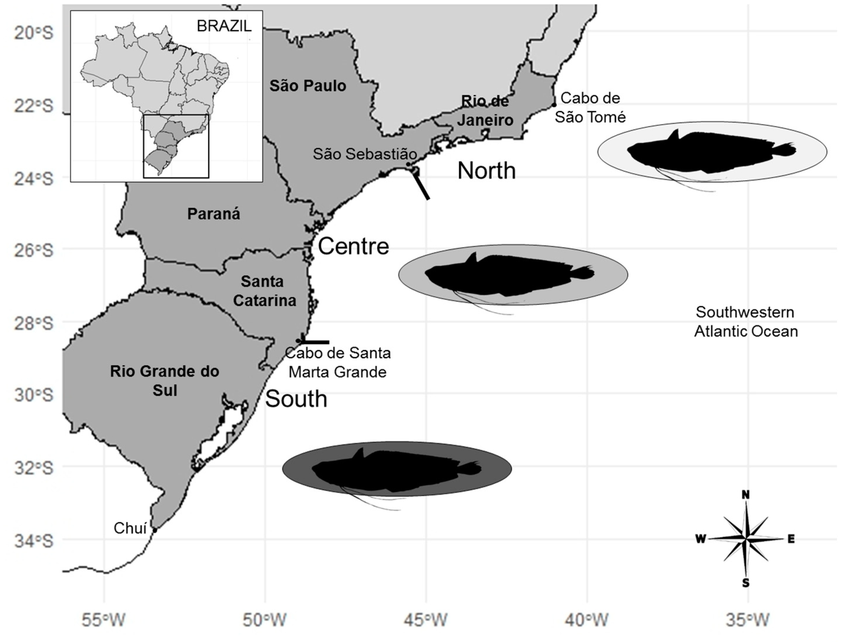 Fishes 10 00063 g001