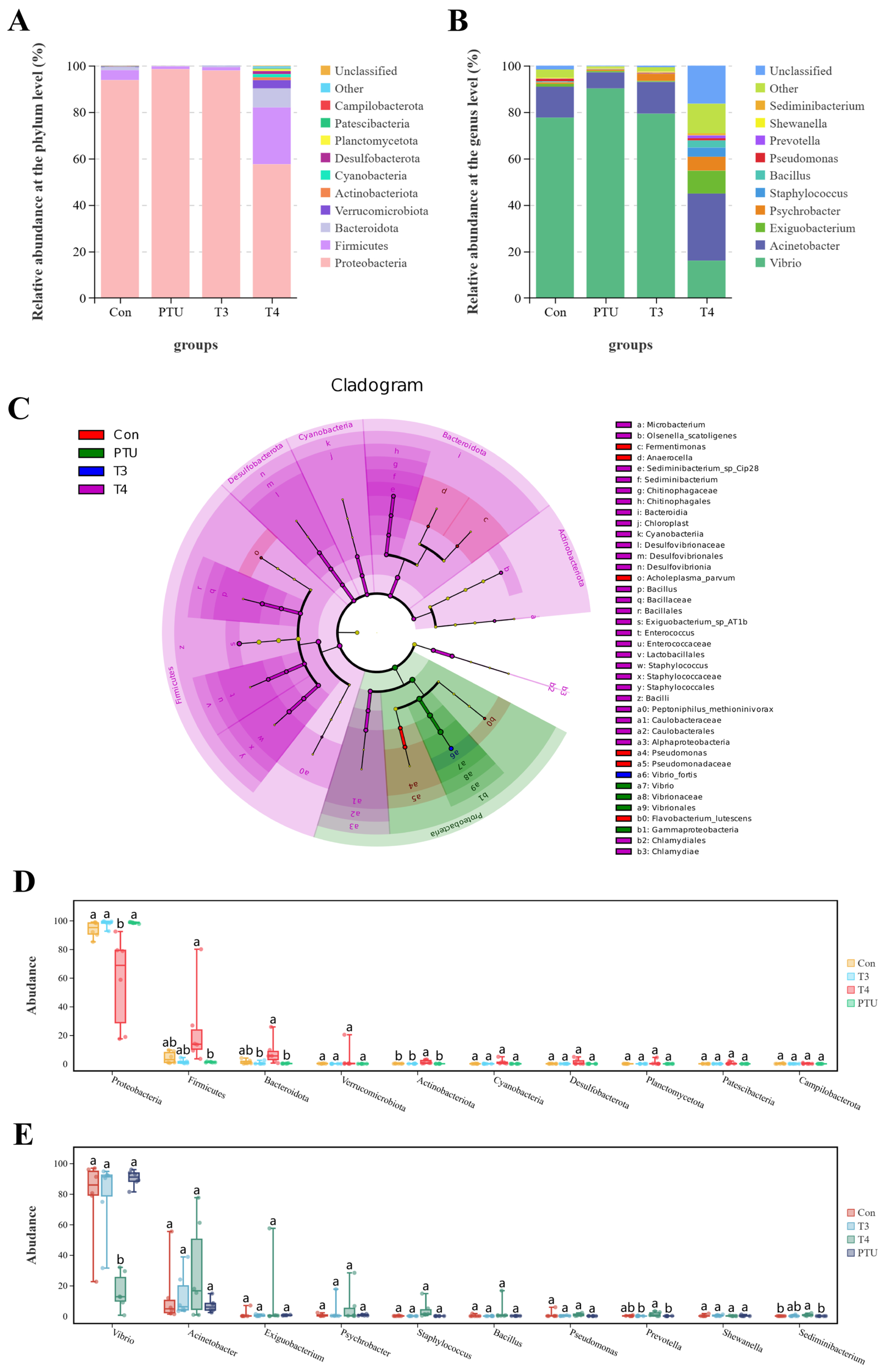Fishes 10 00069 g004 Fishes 10 00069 g004