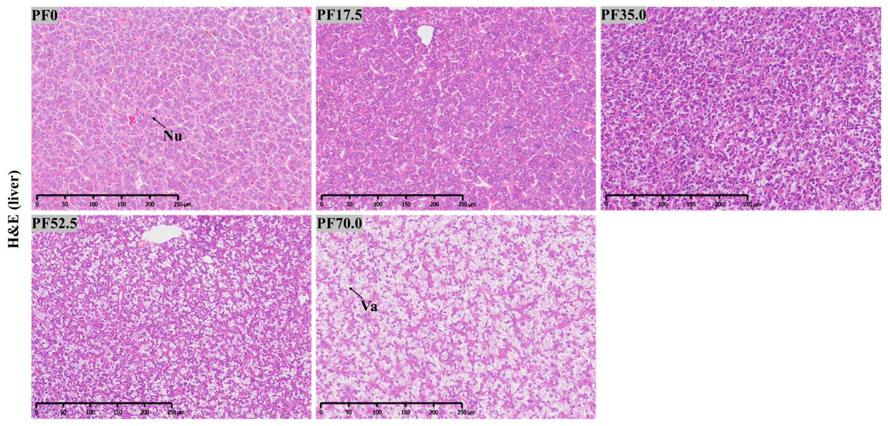 Fishes 10 00078 g002 Fishes 10 00078 g002