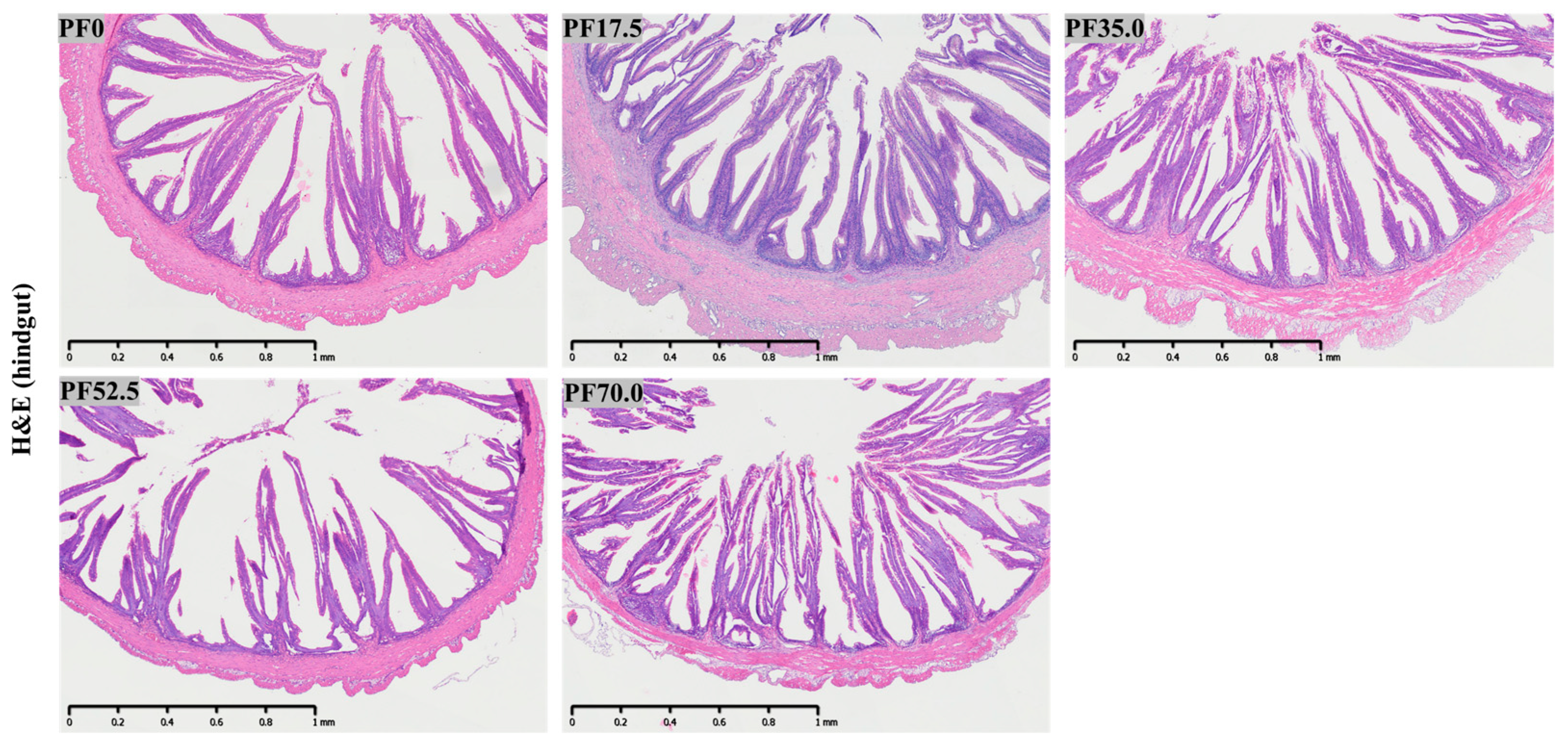 Fishes 10 00078 g006 Fishes 10 00078 g006