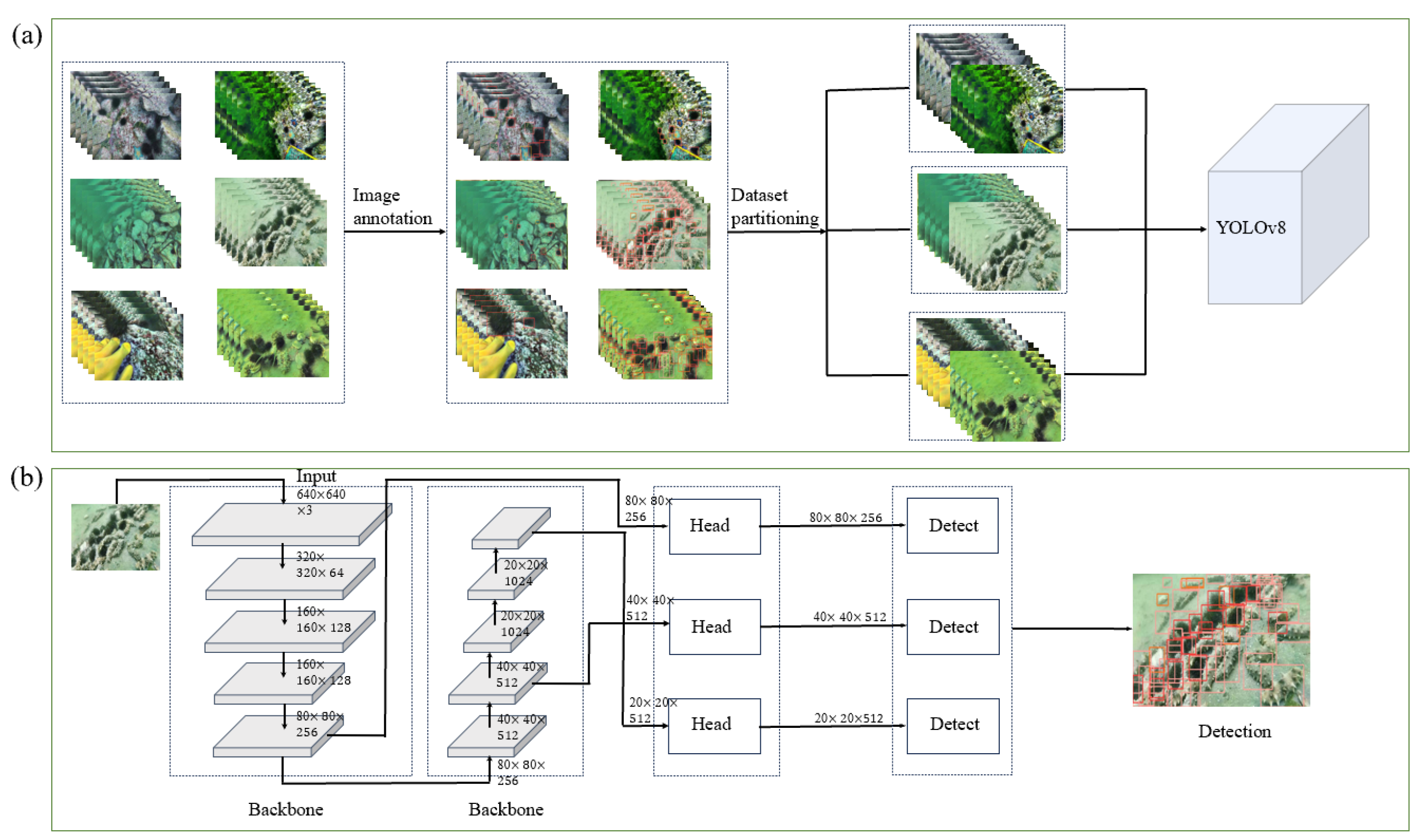 Fishes 10 00081 g003