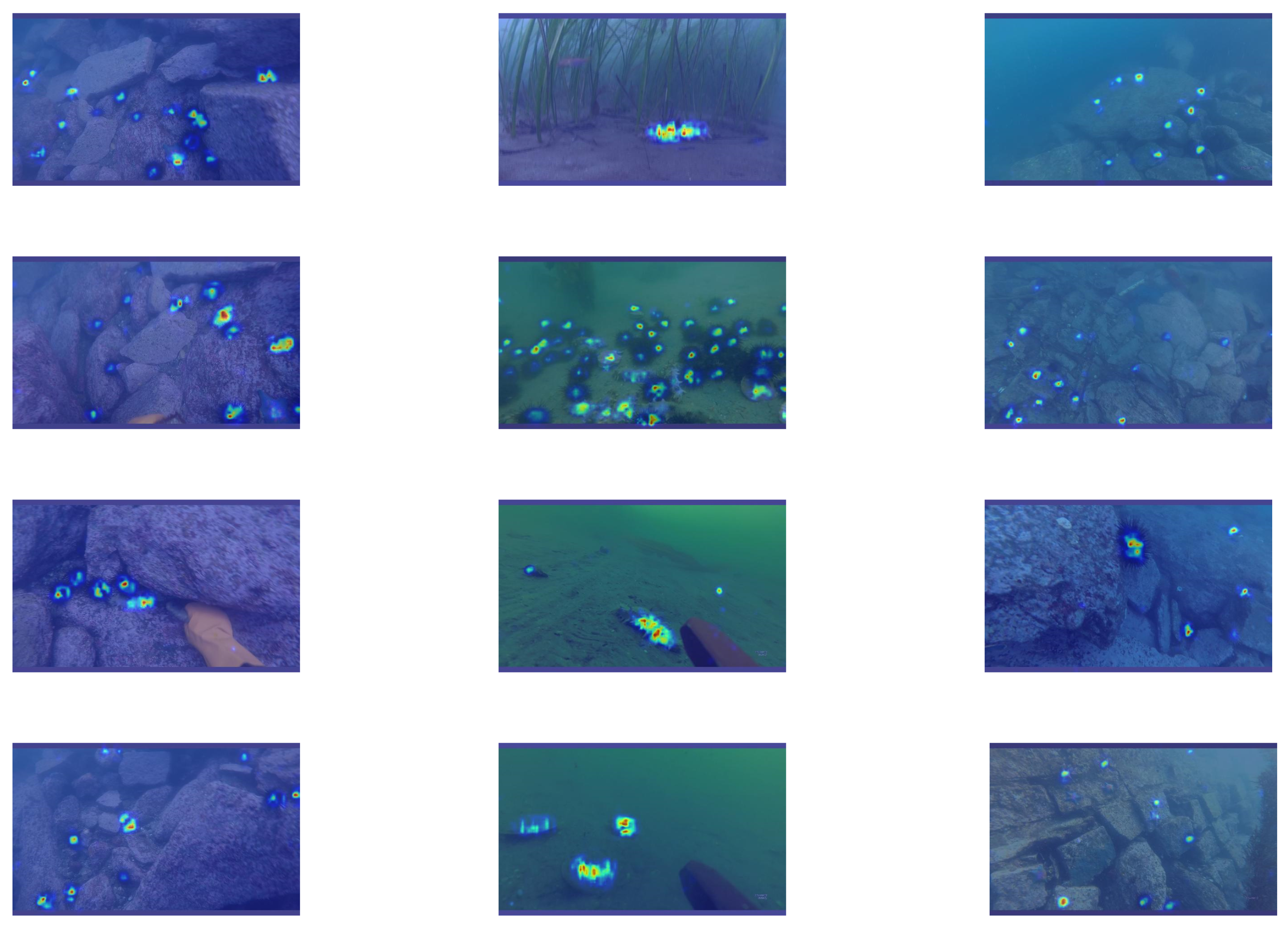 Fishes 10 00081 g014