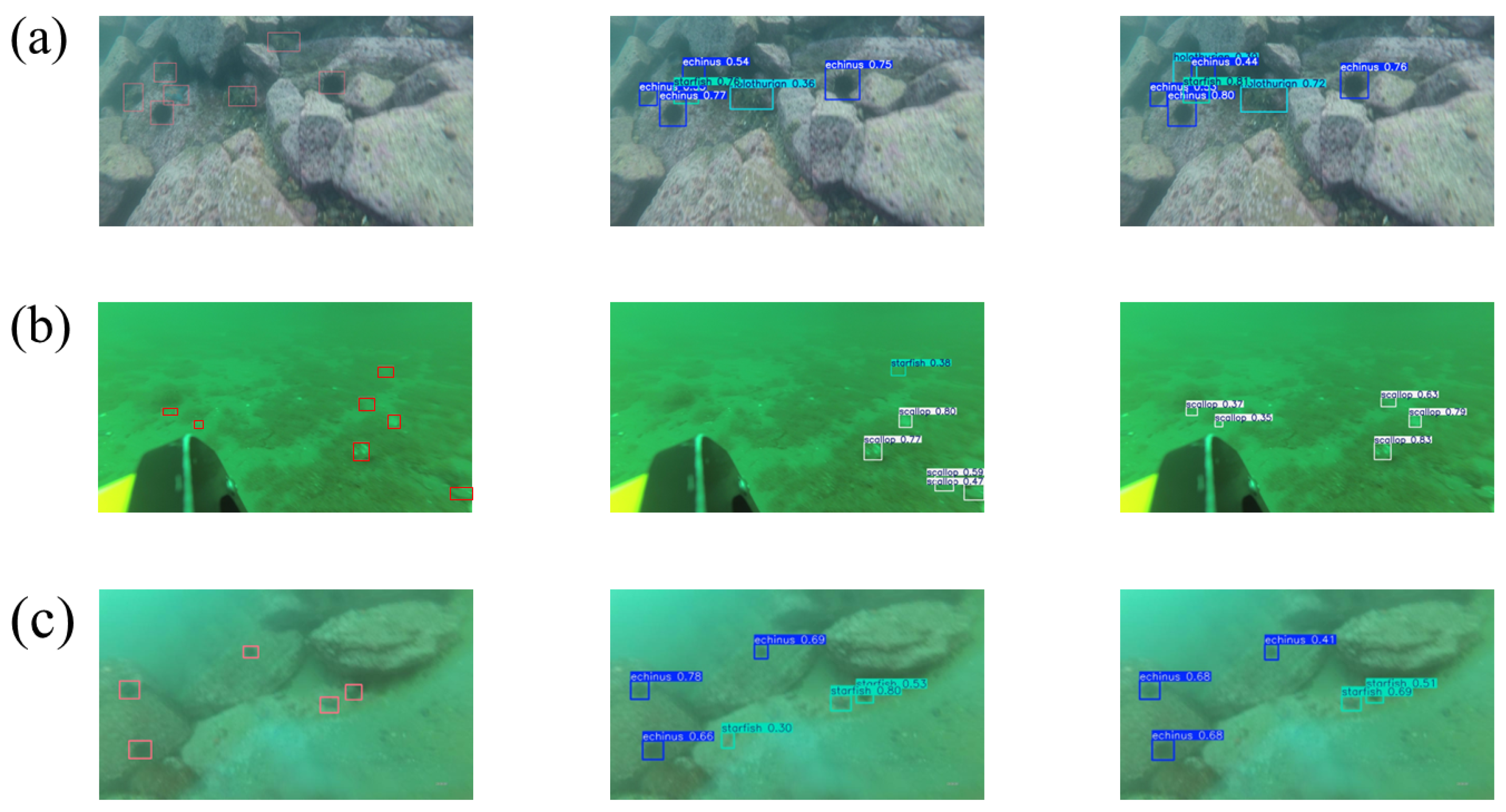 Fishes 10 00081 g015