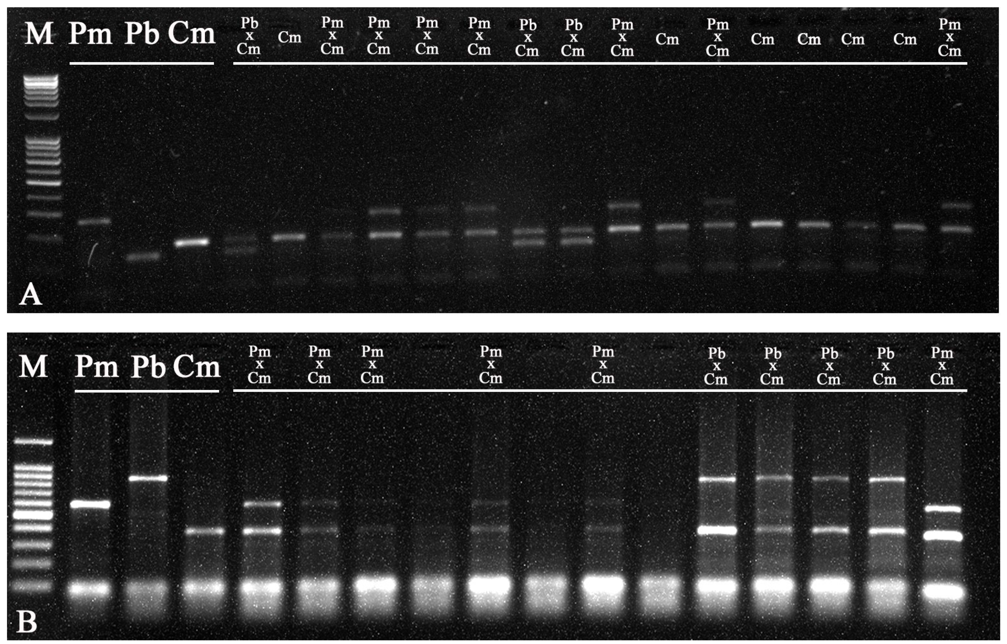 Fishes 10 00083 g001