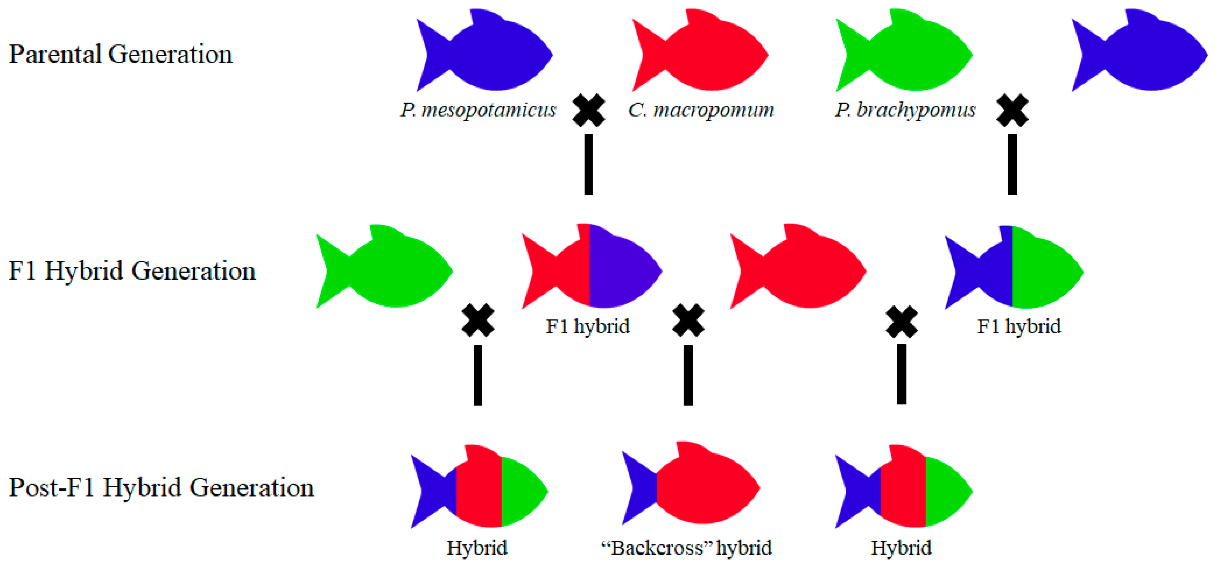 Fishes 10 00083 g002
