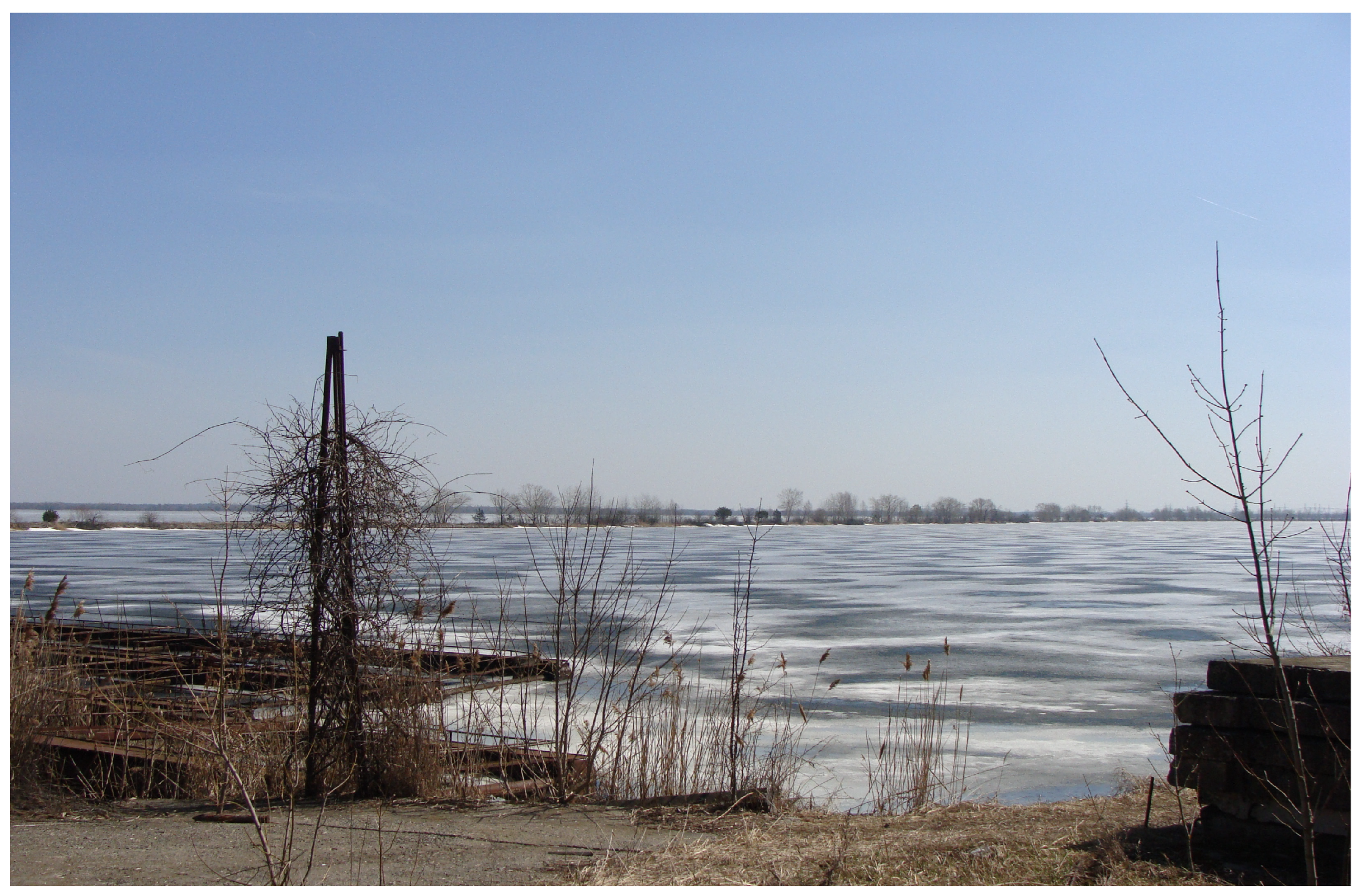 Fishes 10 00090 g002