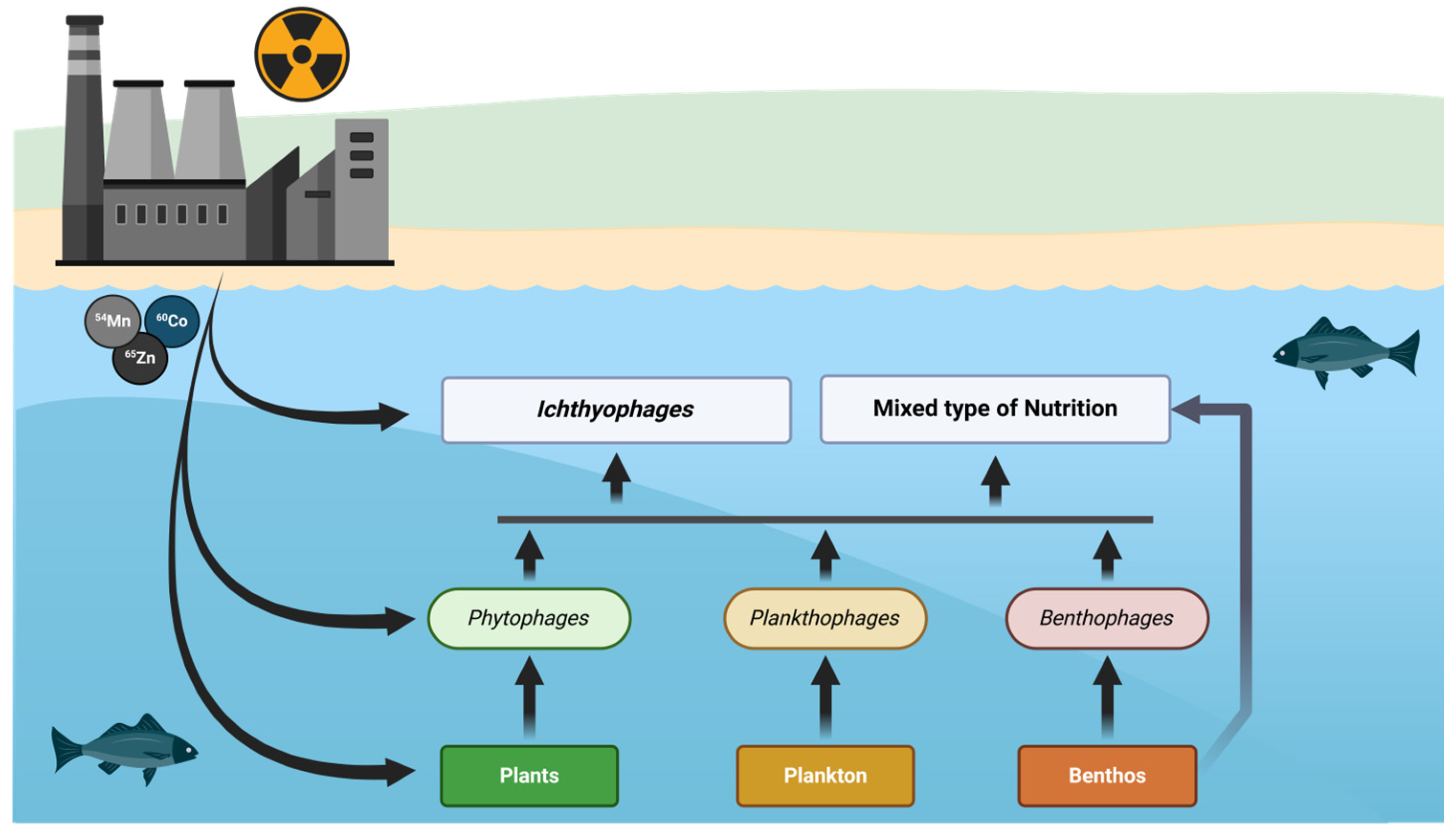 Fishes 10 00090 g004