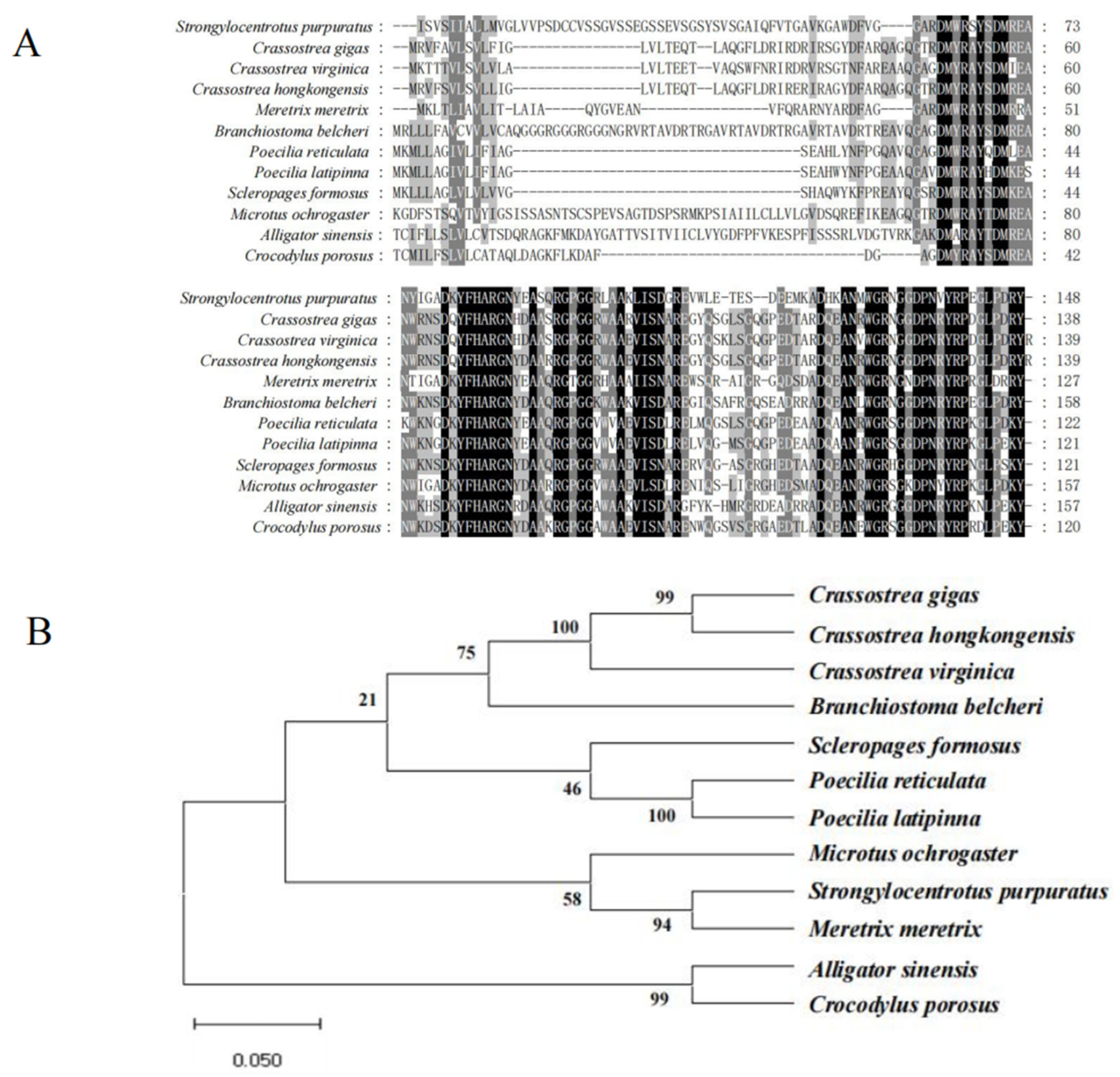 Fishes 10 00093 g002