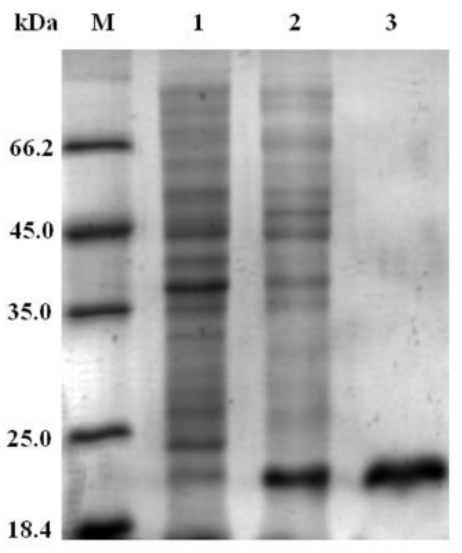 Fishes 10 00093 g005