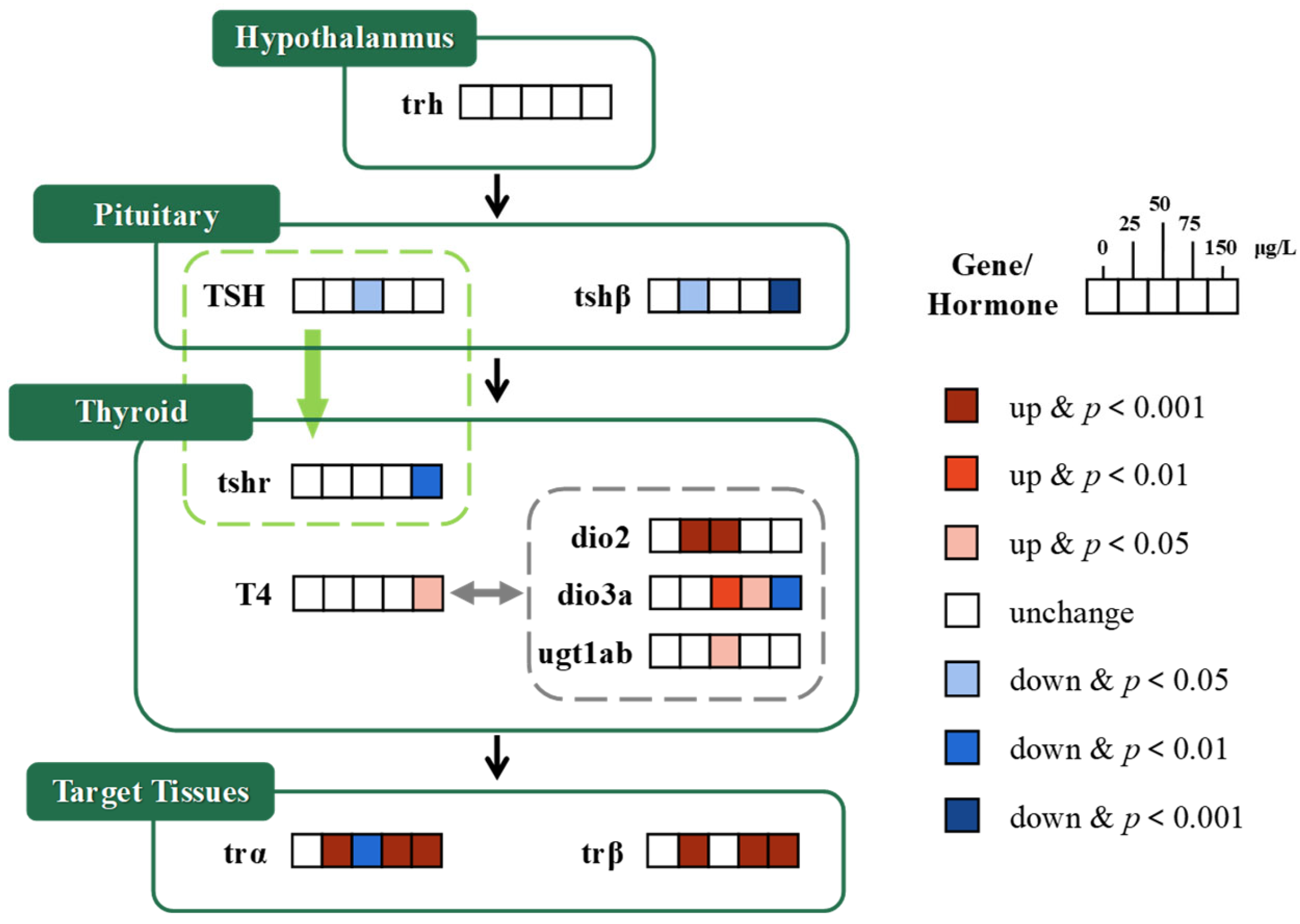 Fishes 10 00097 g002