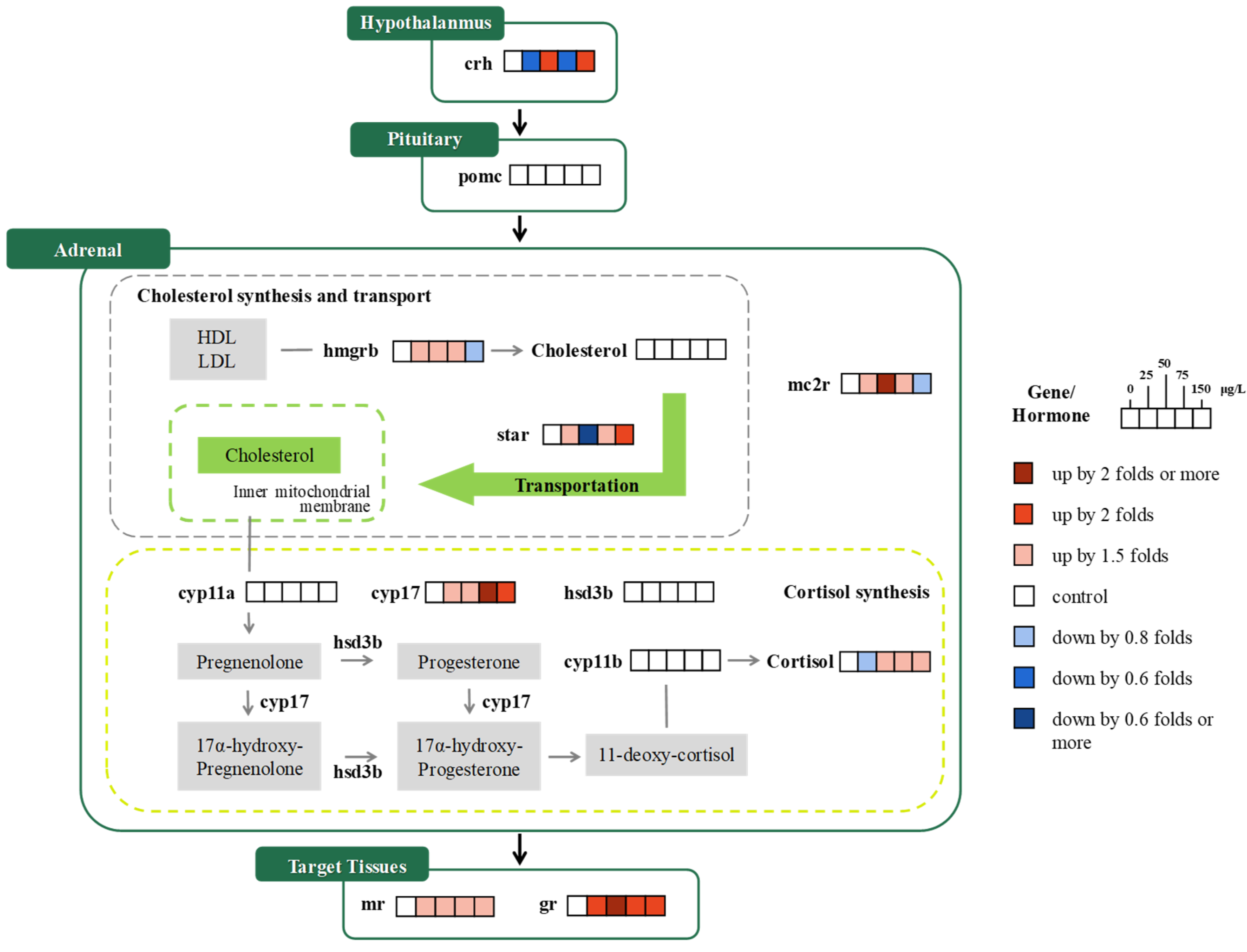 Fishes 10 00097 g003