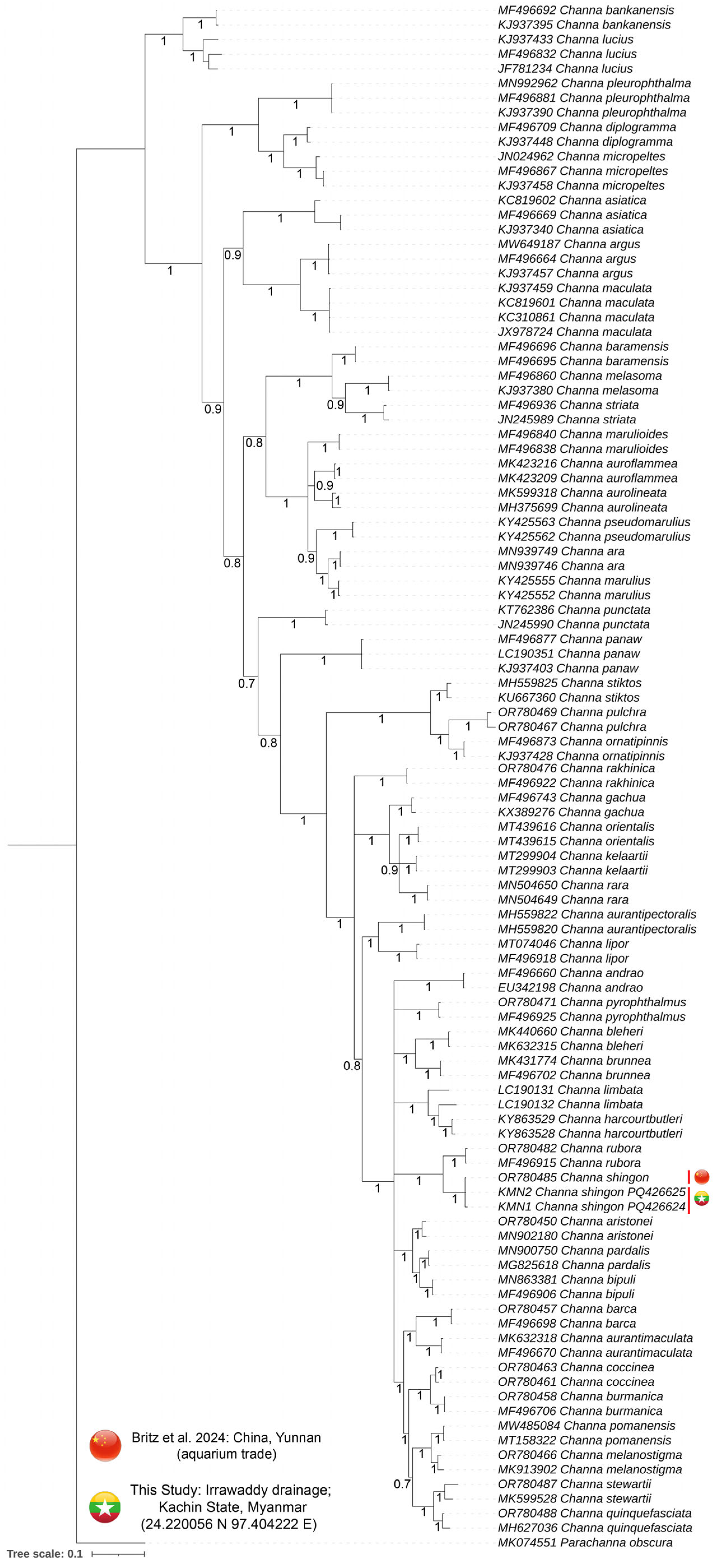 Fishes 10 00100 g004