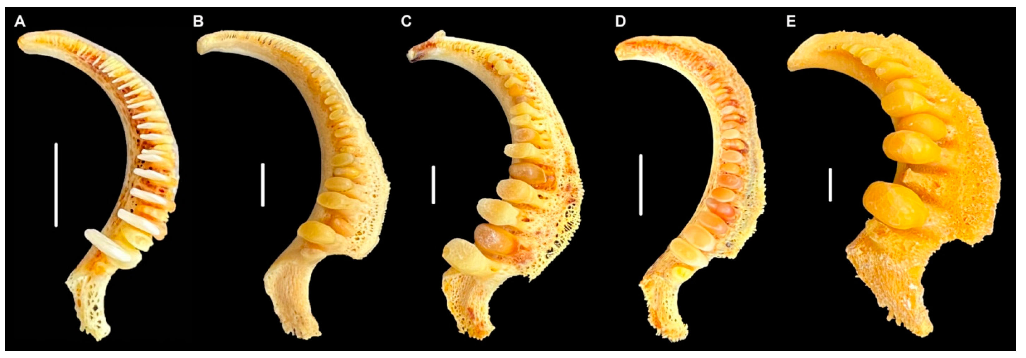 Fishes 10 00101 g001