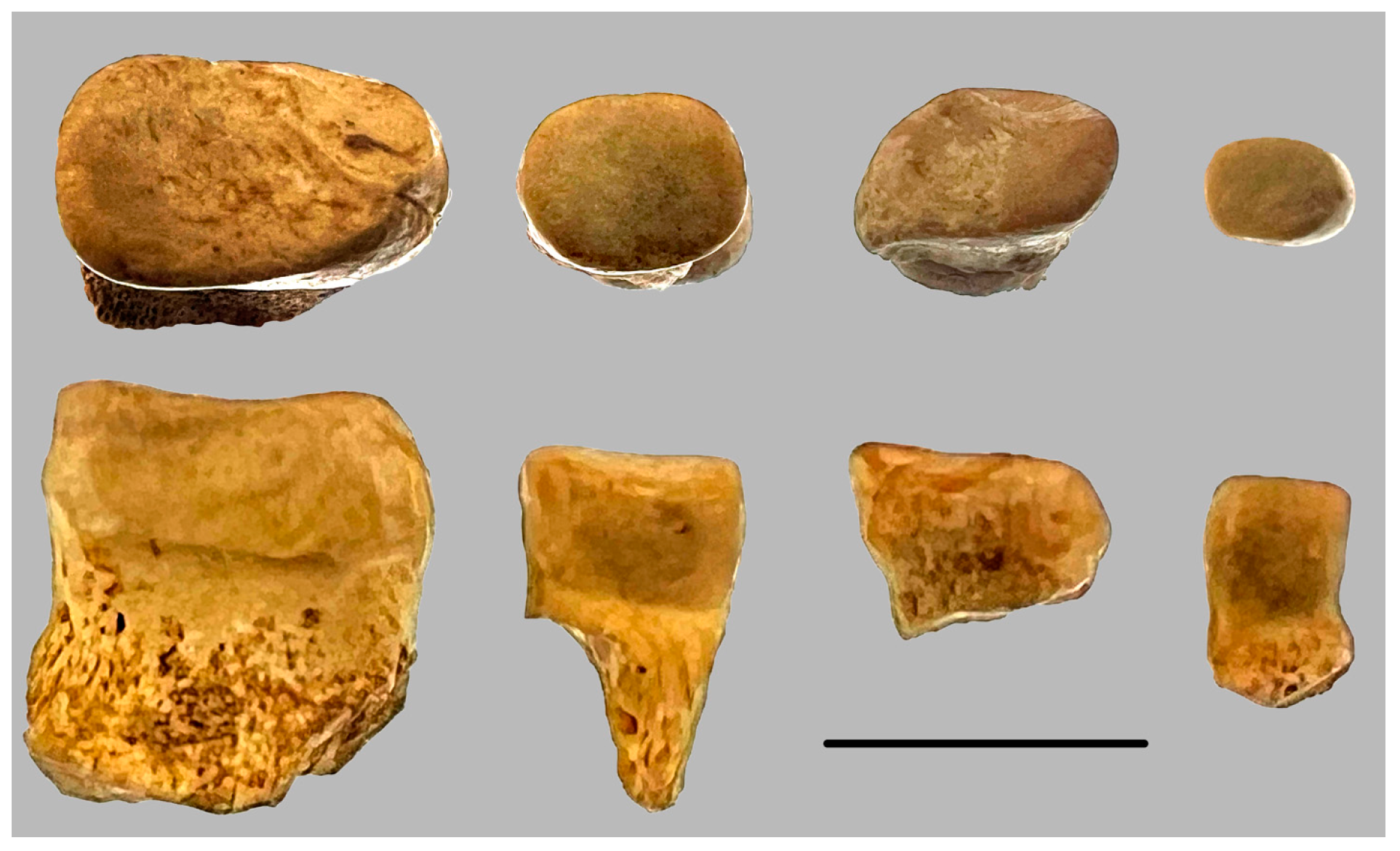 Fishes 10 00101 g004