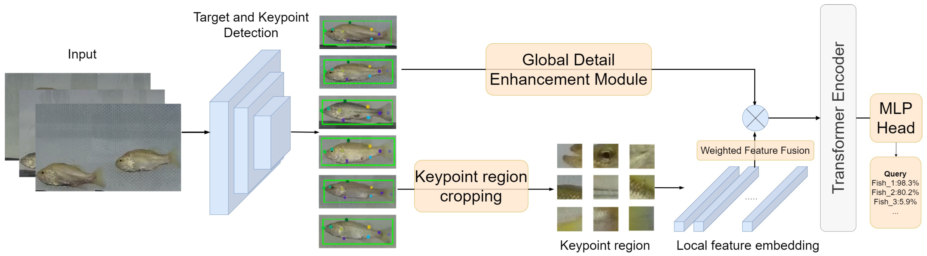 Fishes 10 00102 g001