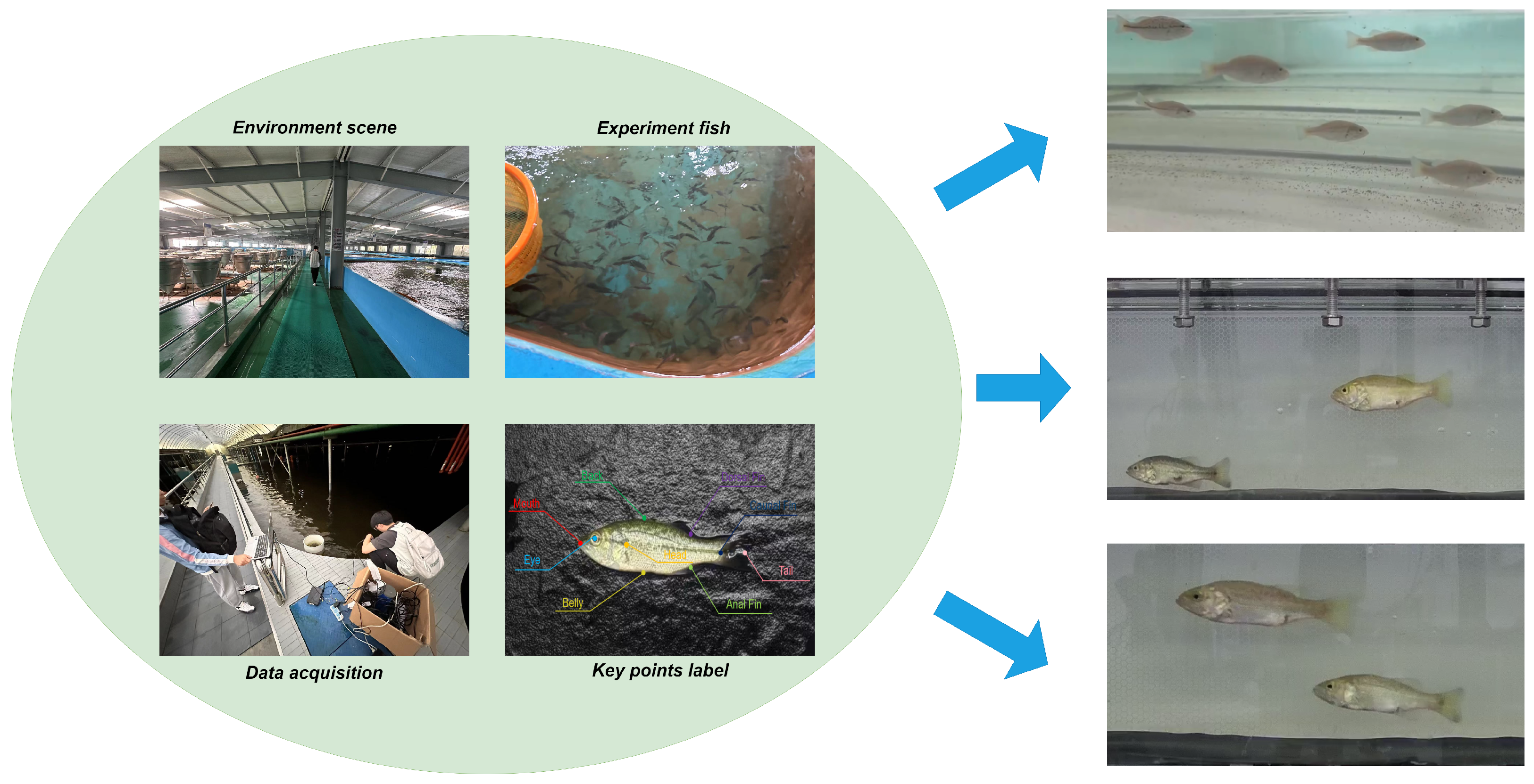 Fishes 10 00102 g003