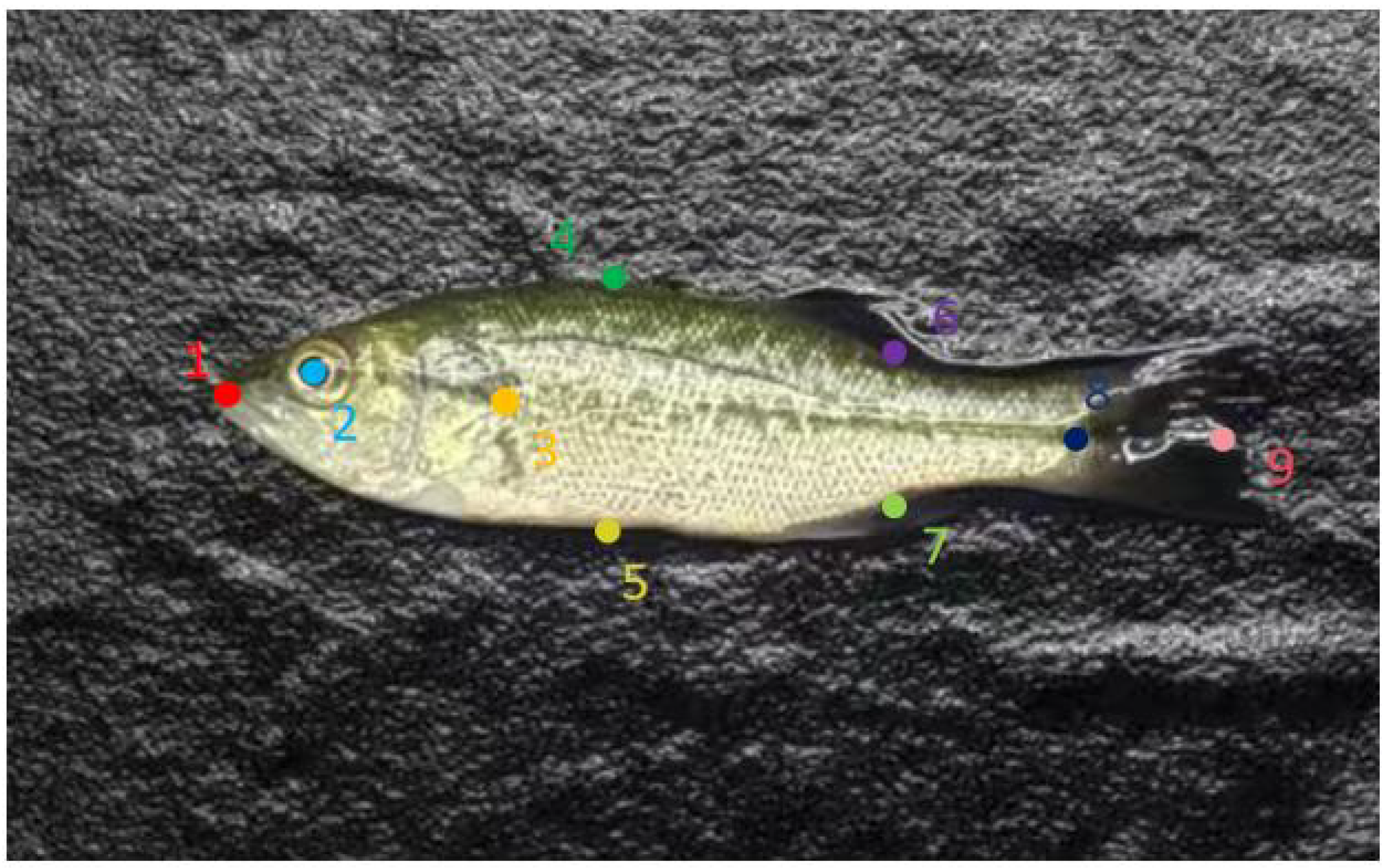 Fishes 10 00102 g005