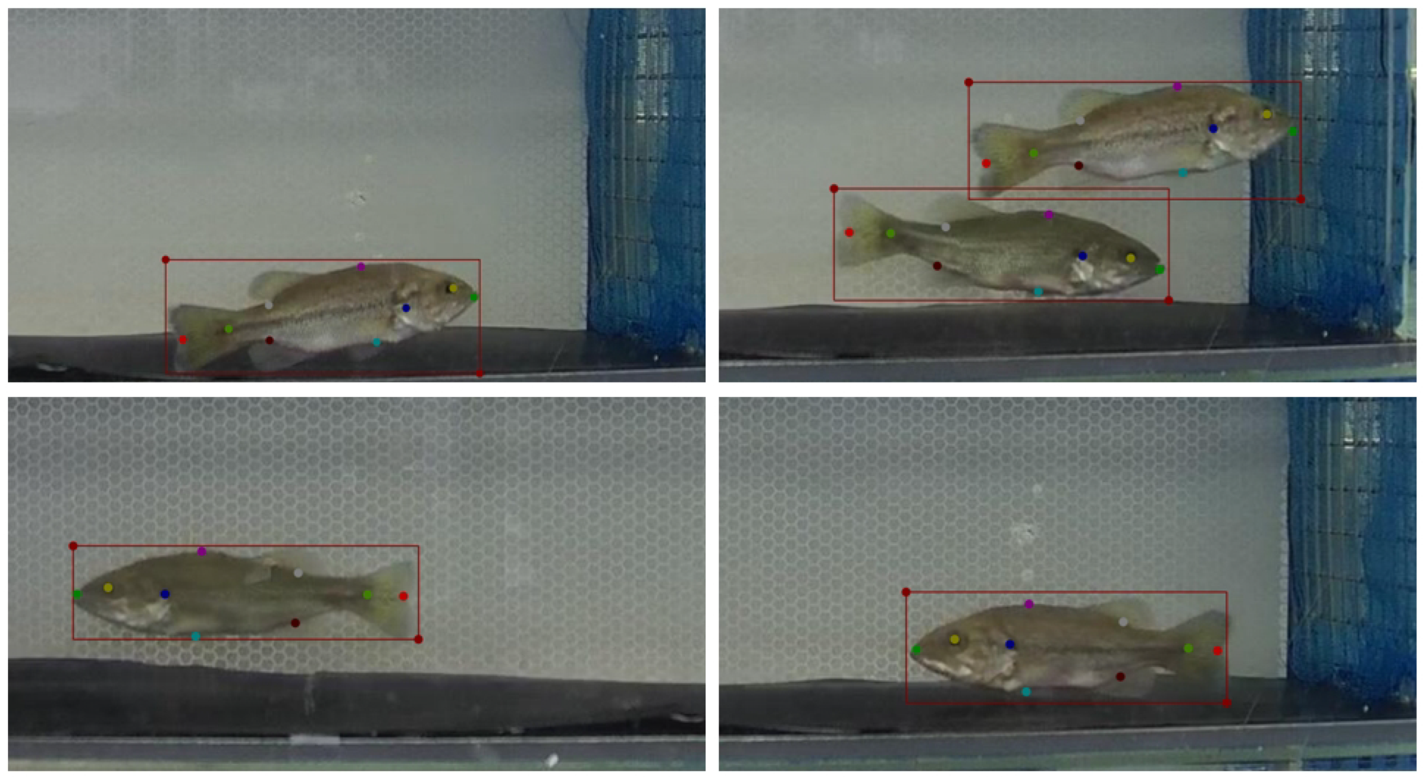 Fishes 10 00102 g009