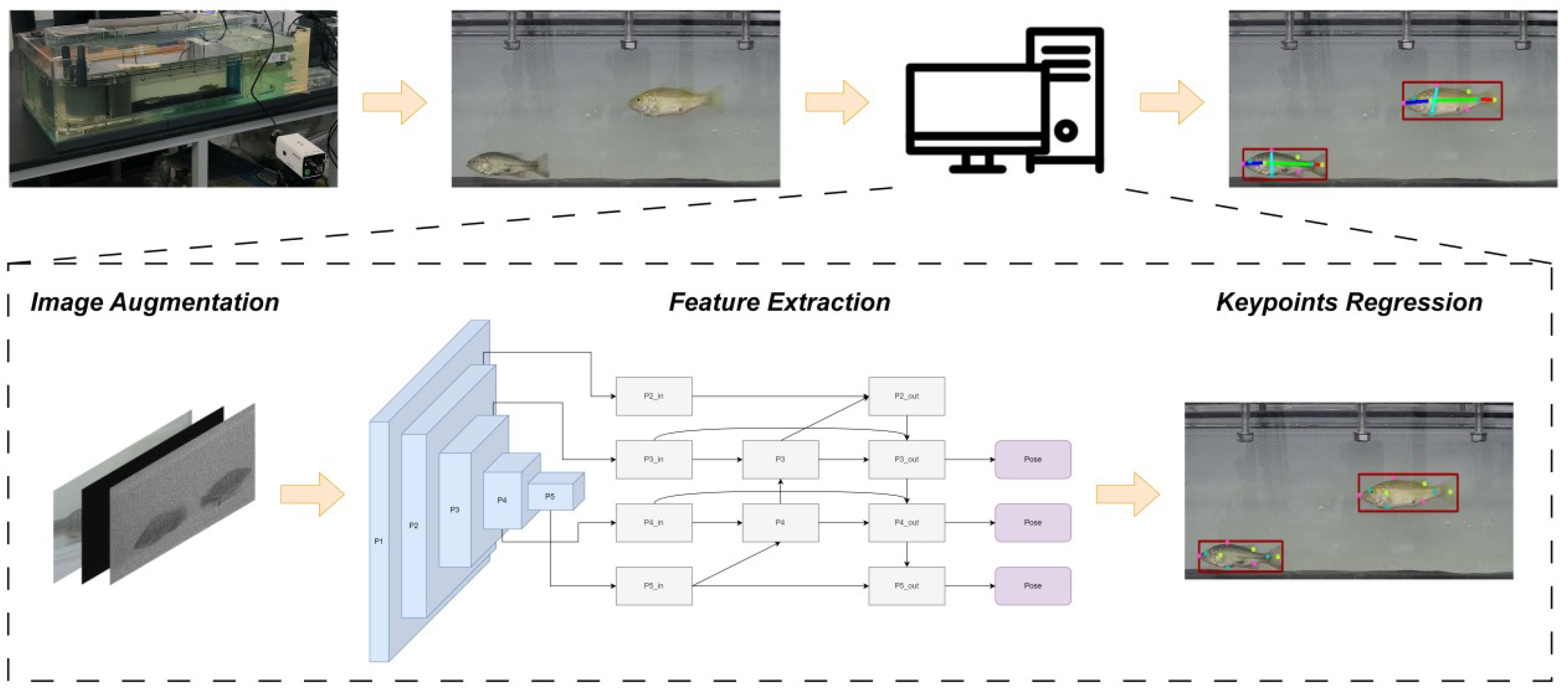 Fishes 10 00102 g010