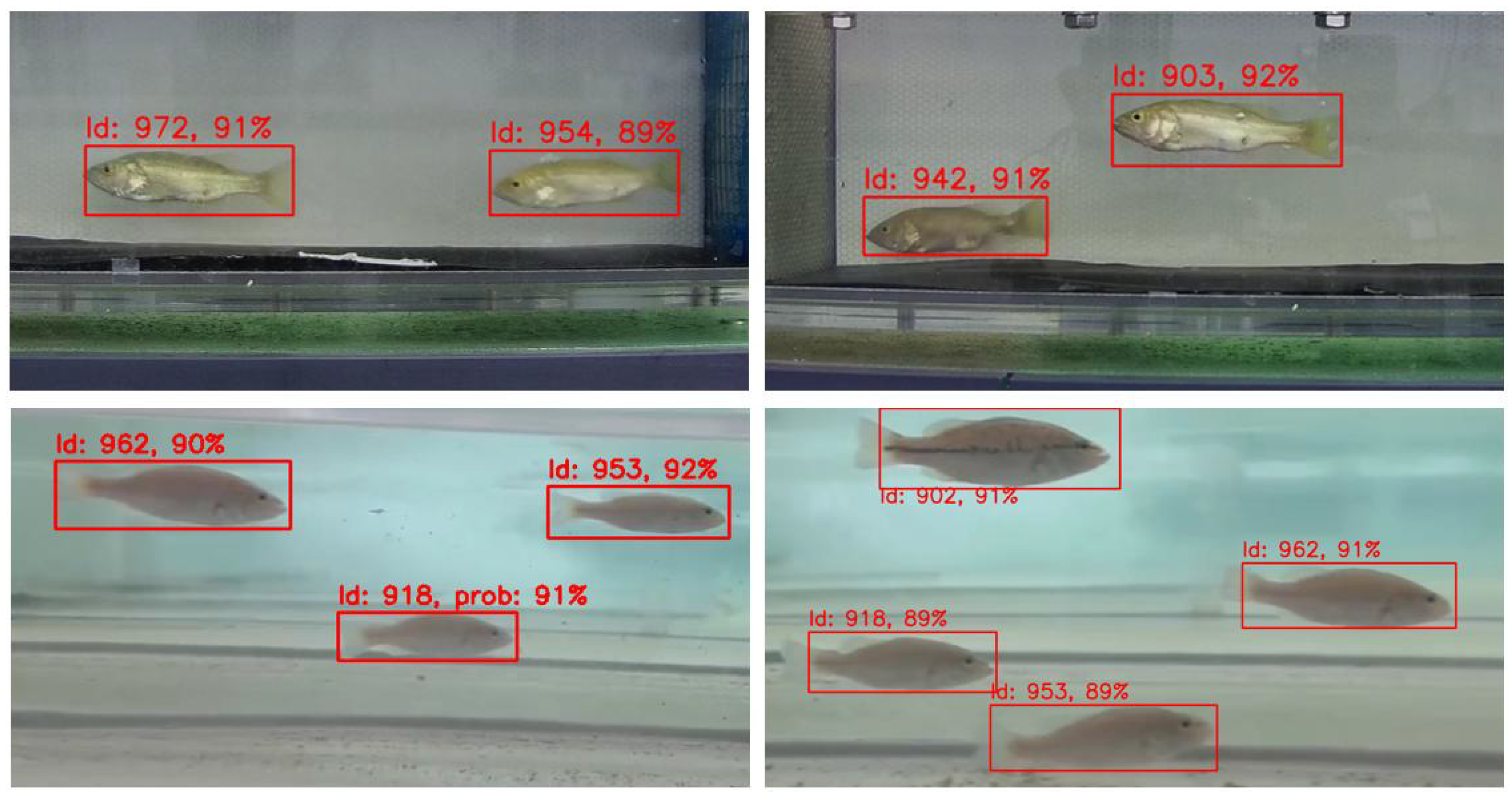 Fishes 10 00102 g016