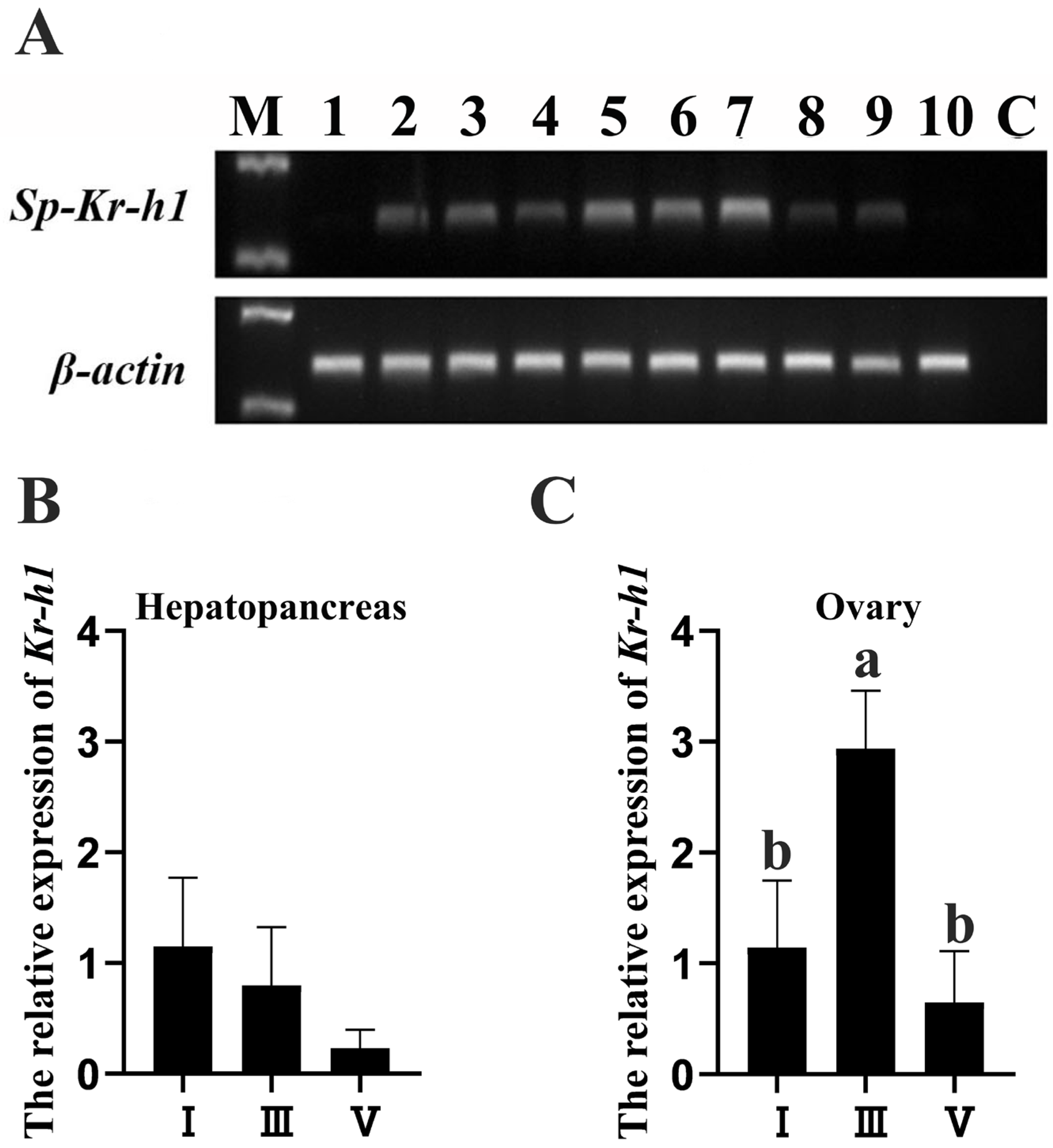 Fishes 10 00103 g001