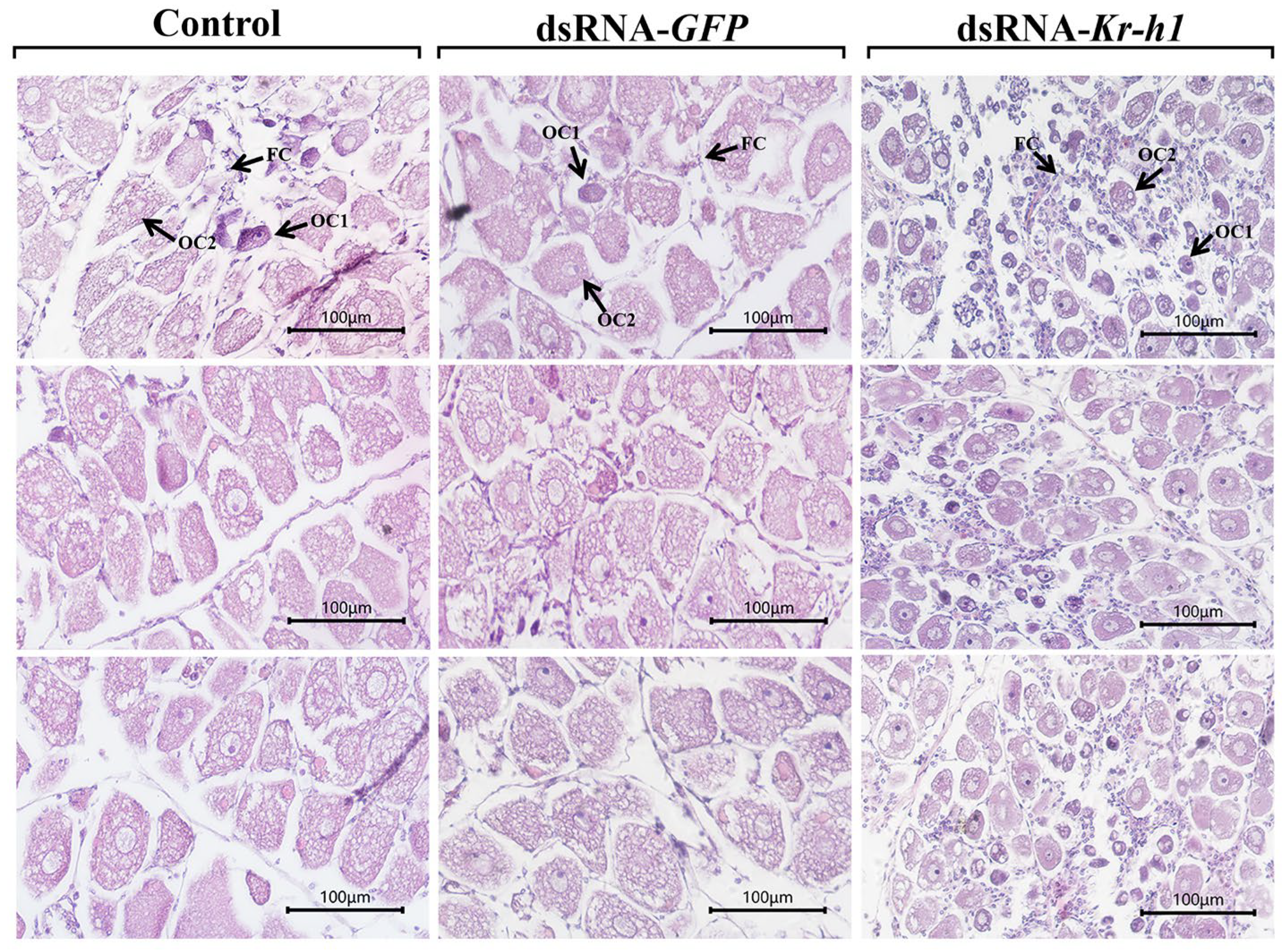 Fishes 10 00103 g007