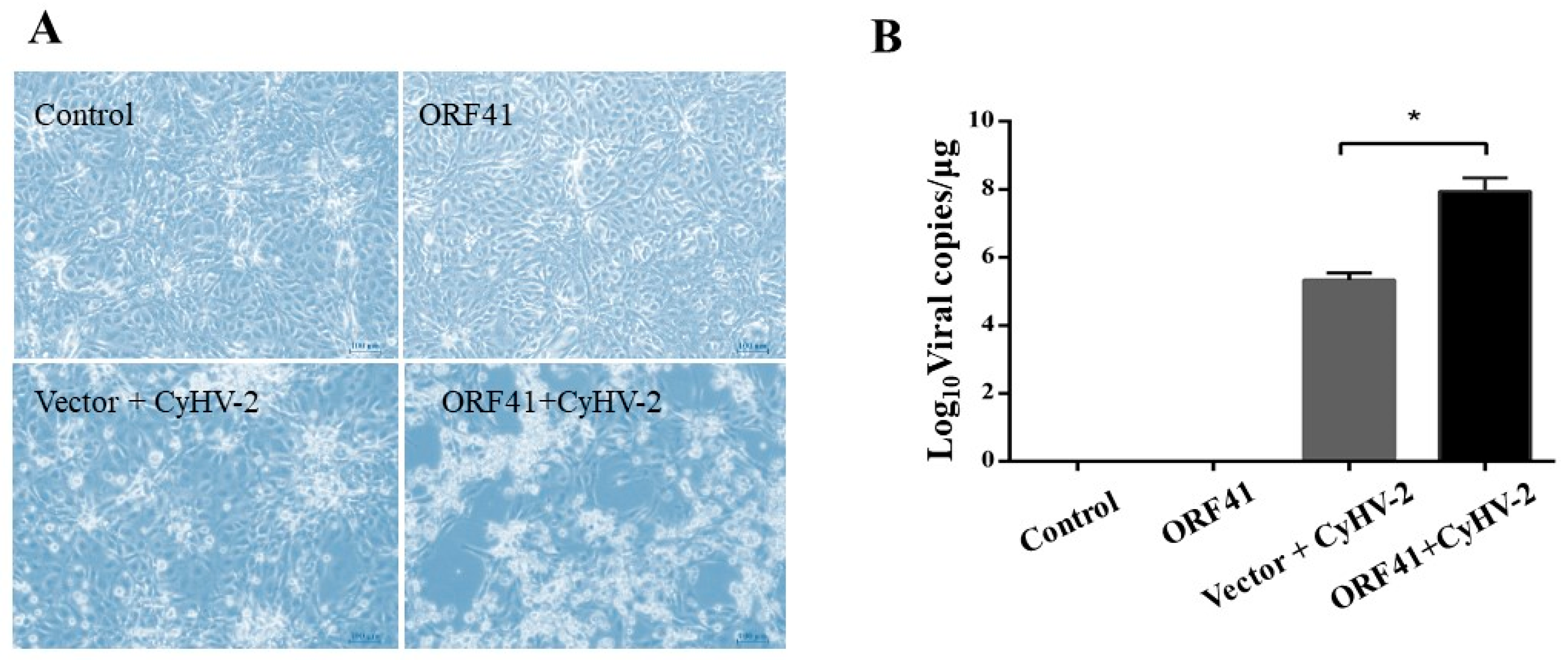 Fishes 10 00107 g001