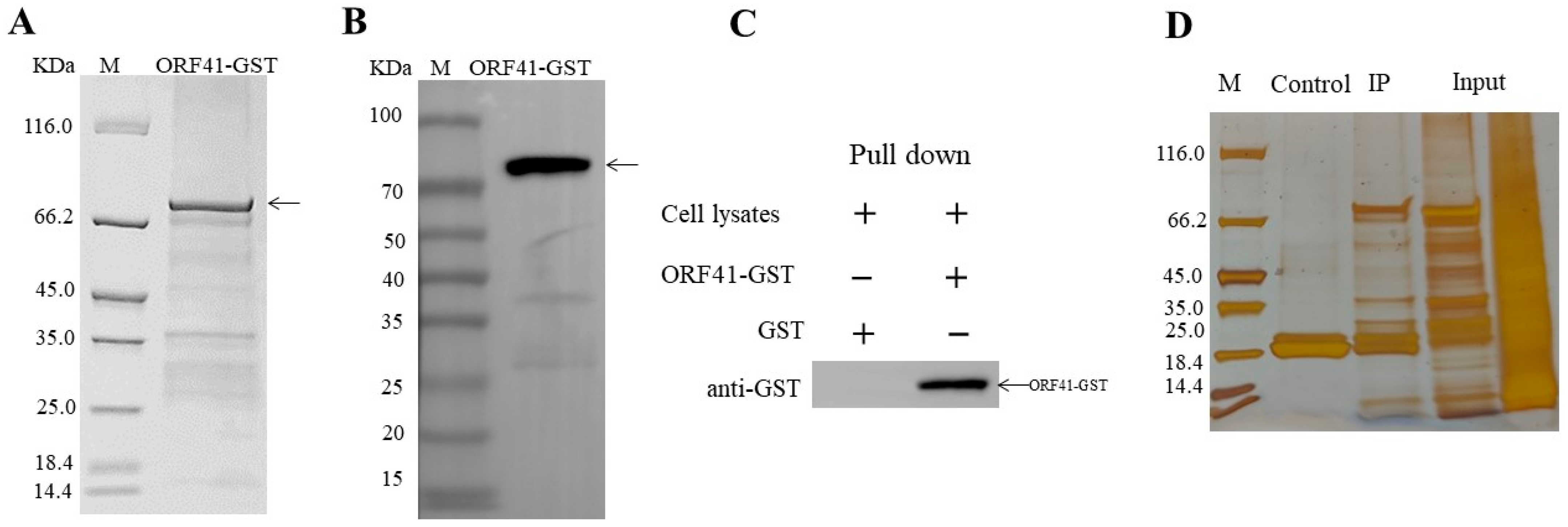 Fishes 10 00107 g002