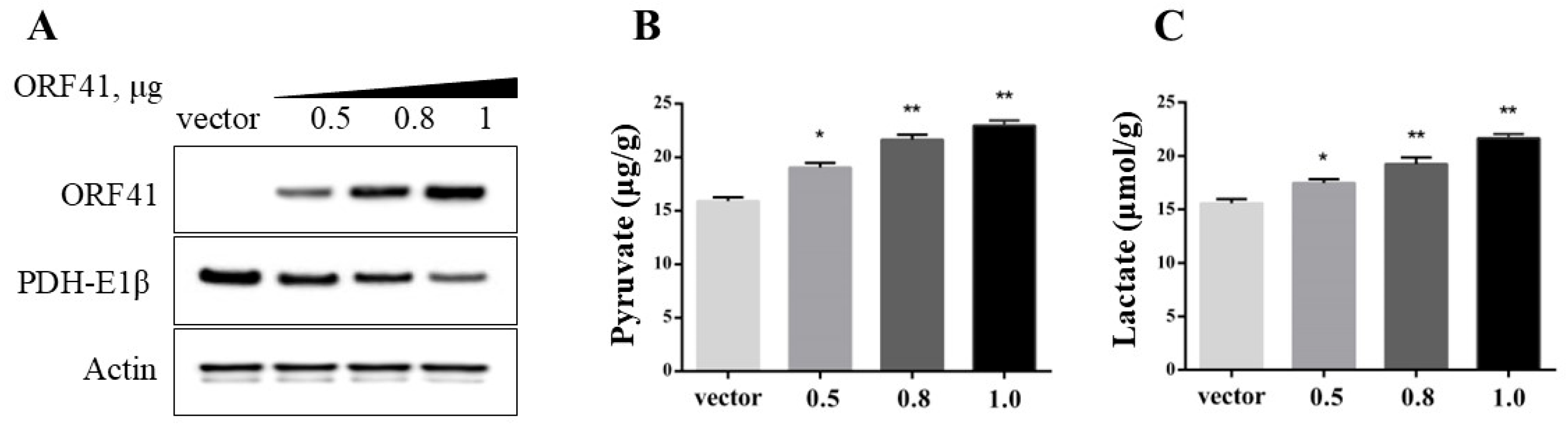 Fishes 10 00107 g003