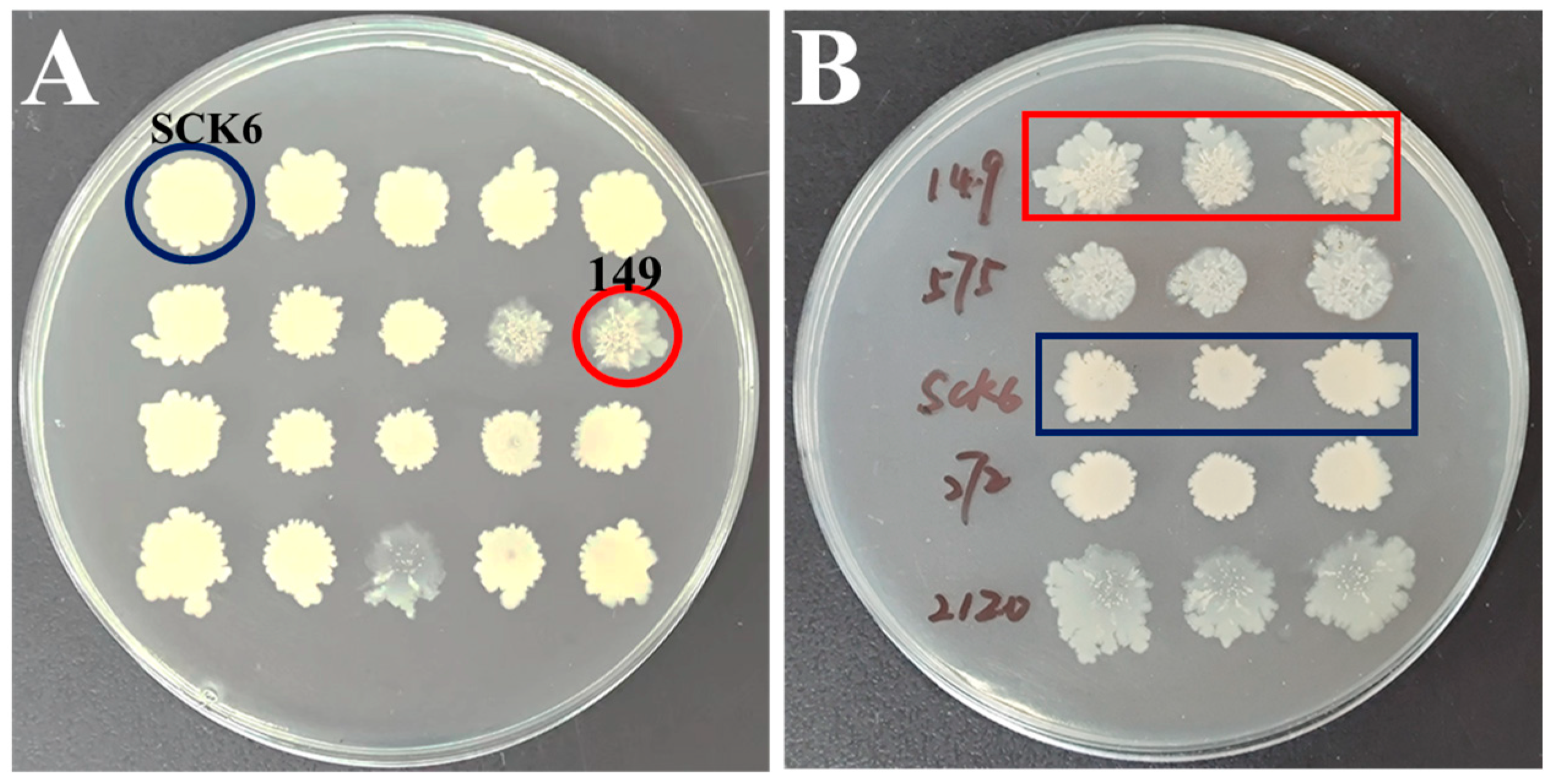 Fishes 10 00109 g001