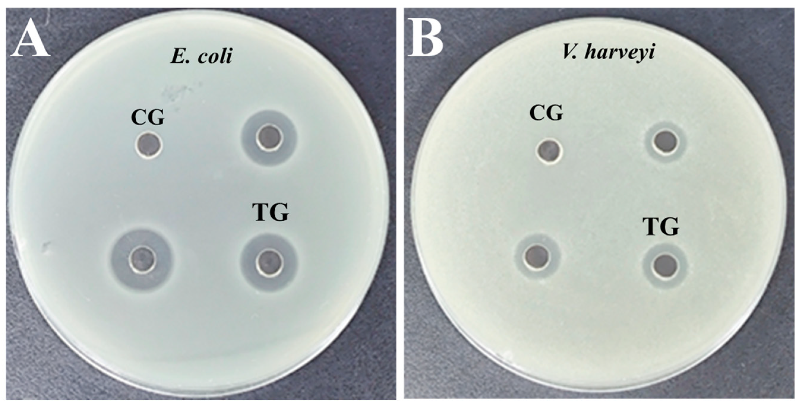Fishes 10 00109 g005