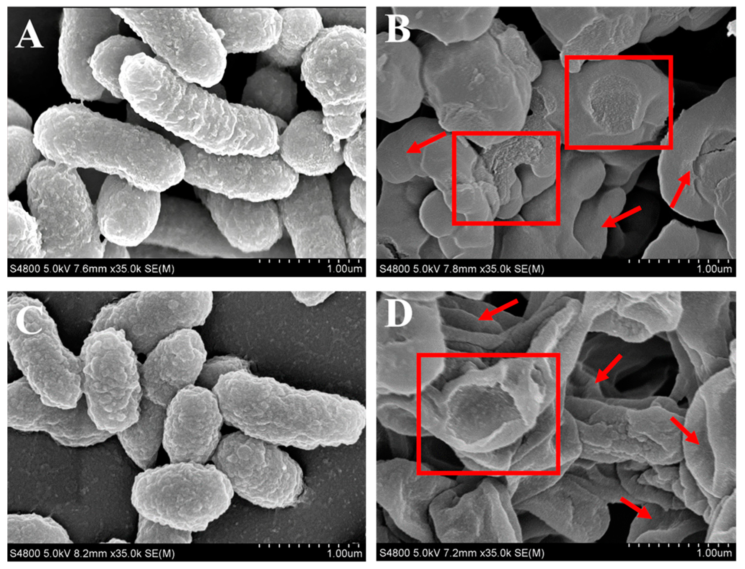 Fishes 10 00109 g007