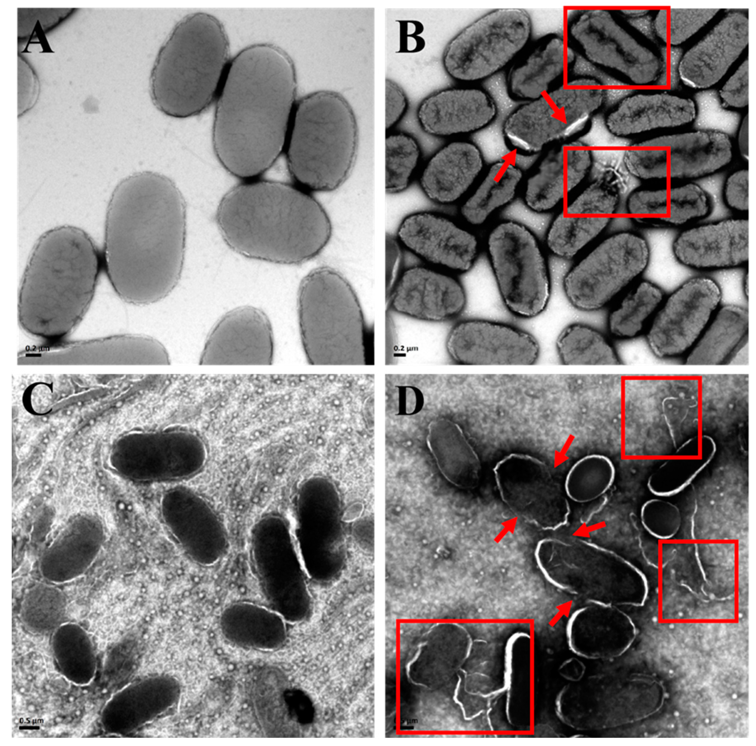 Fishes 10 00109 g008