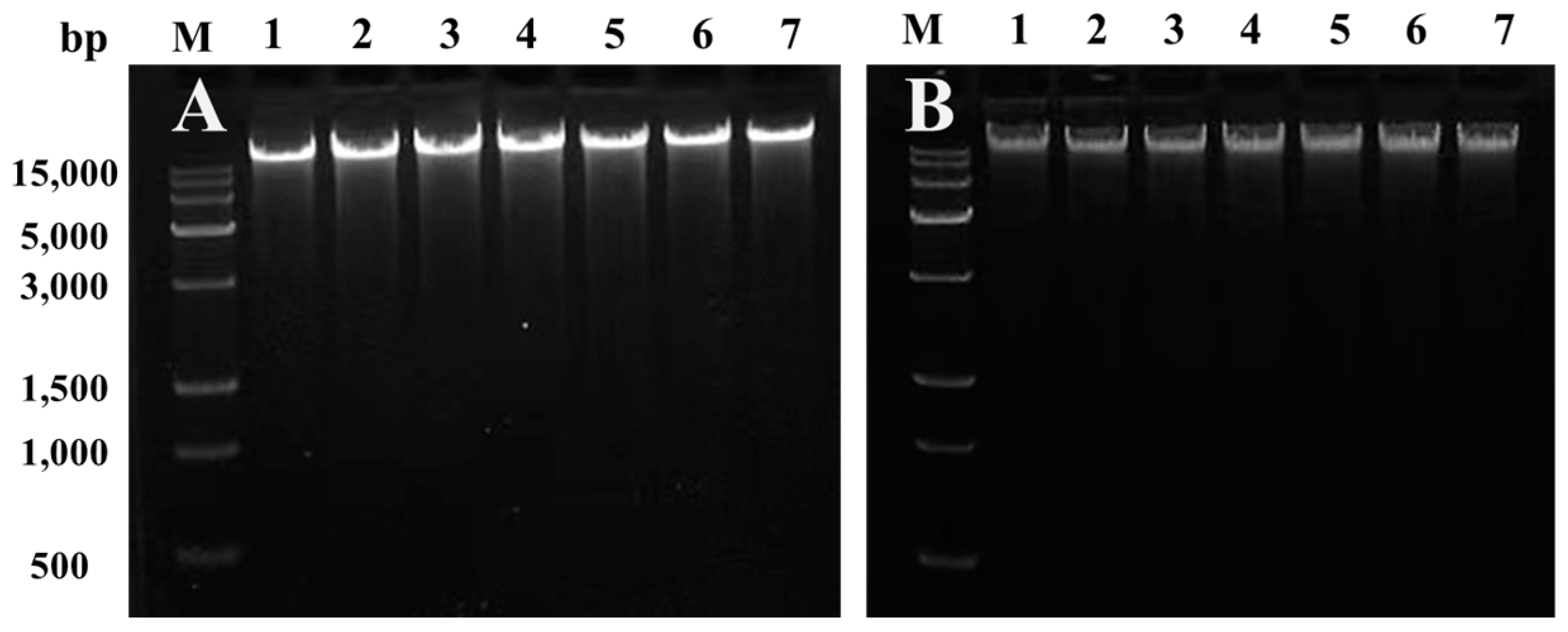 Fishes 10 00109 g011