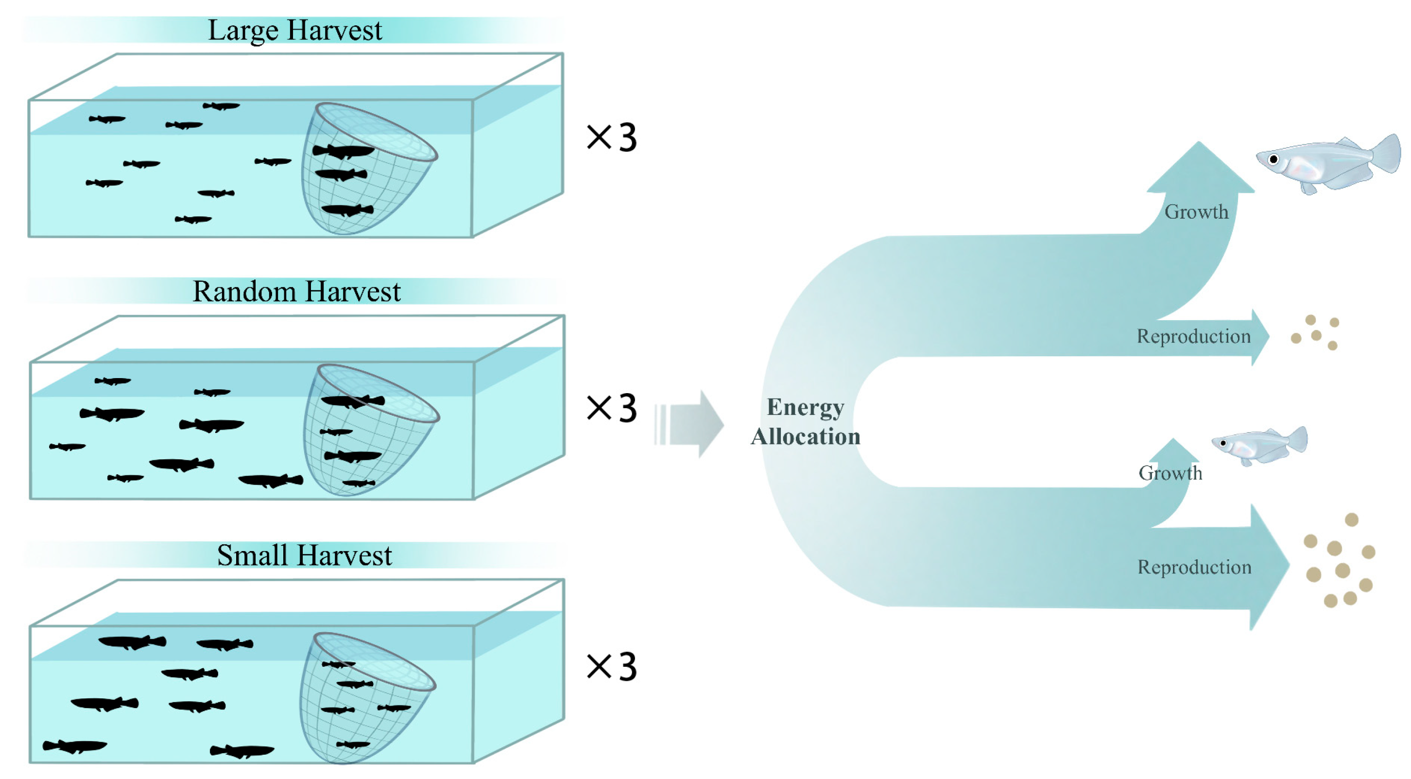 Fishes 10 00112 g001