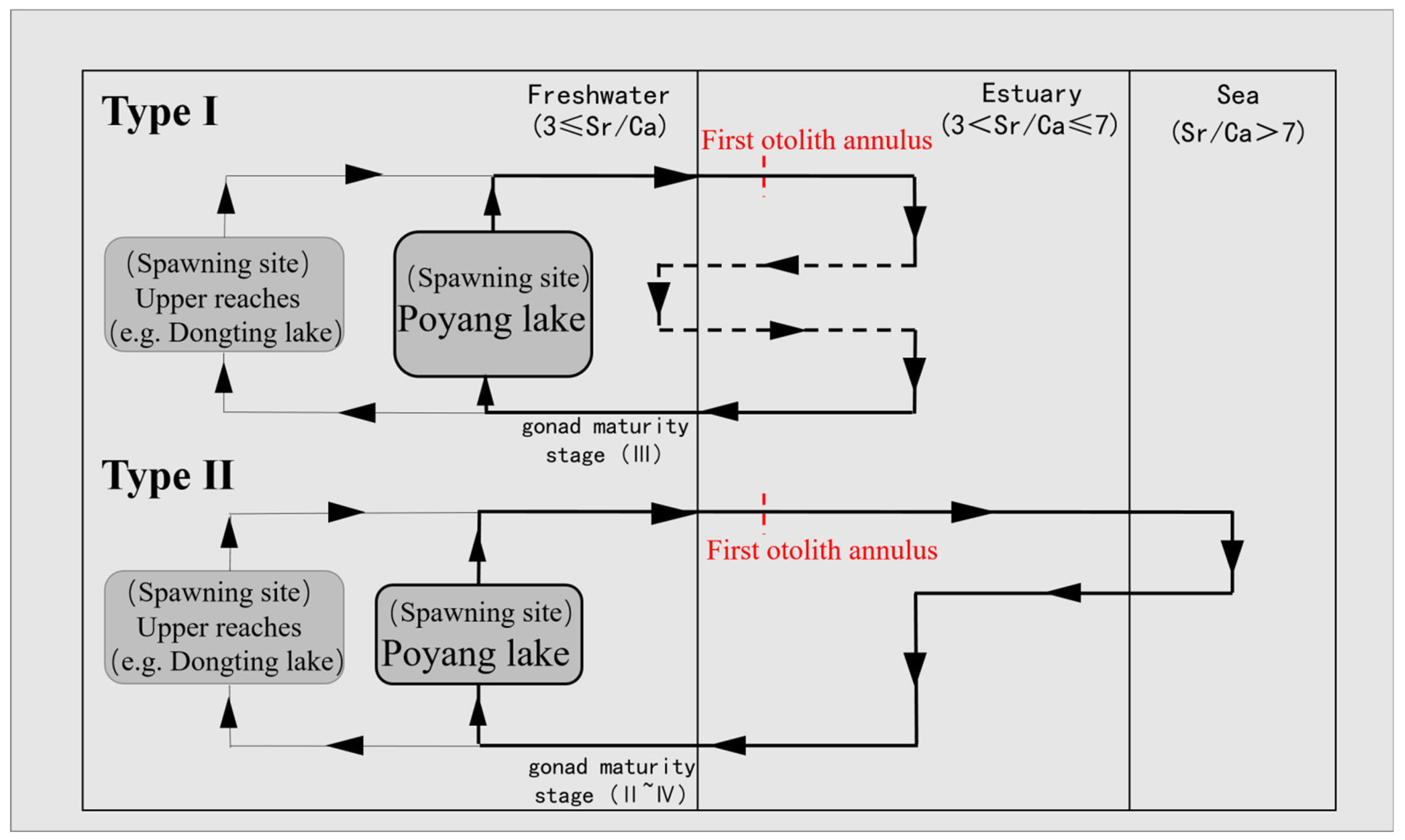 Fishes 10 00113 g003