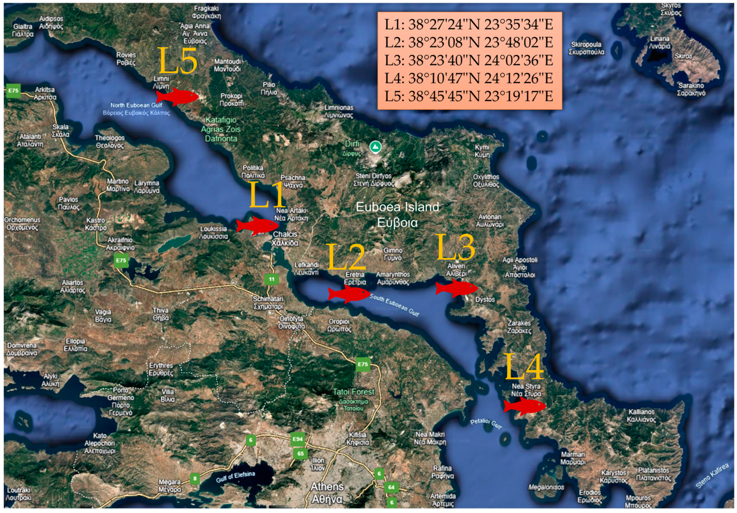 Fishes 10 00115 g001