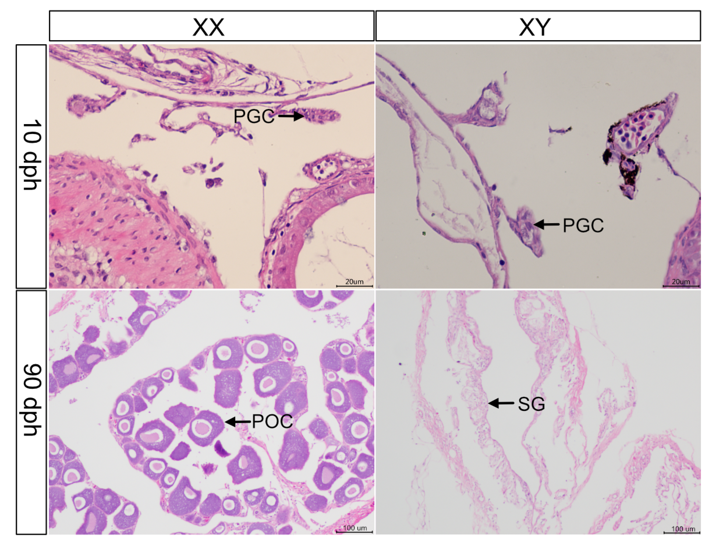Fishes 10 00117 g001