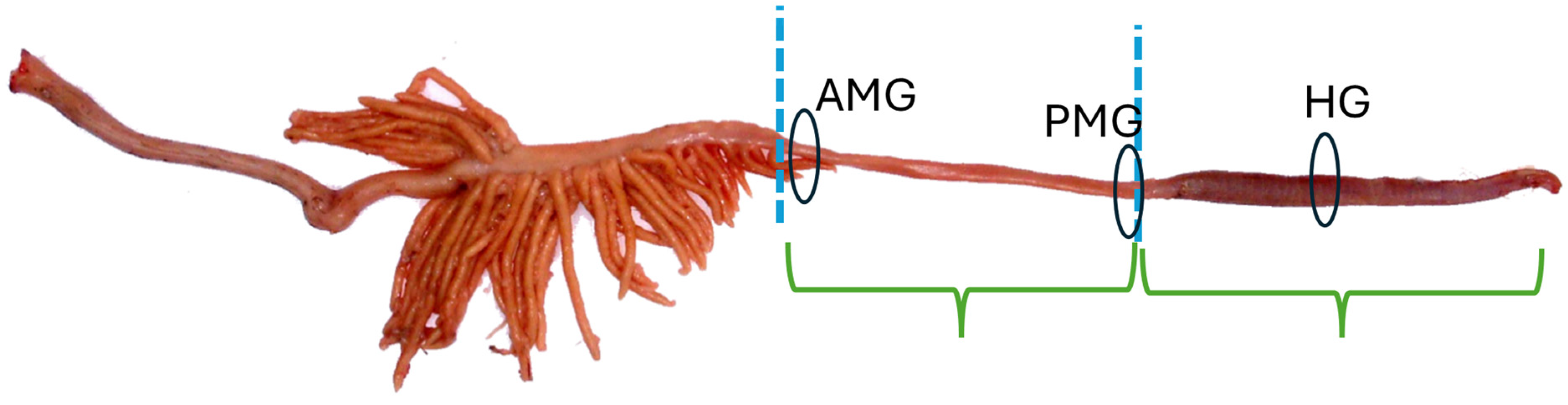 Fishes 10 00119 g002