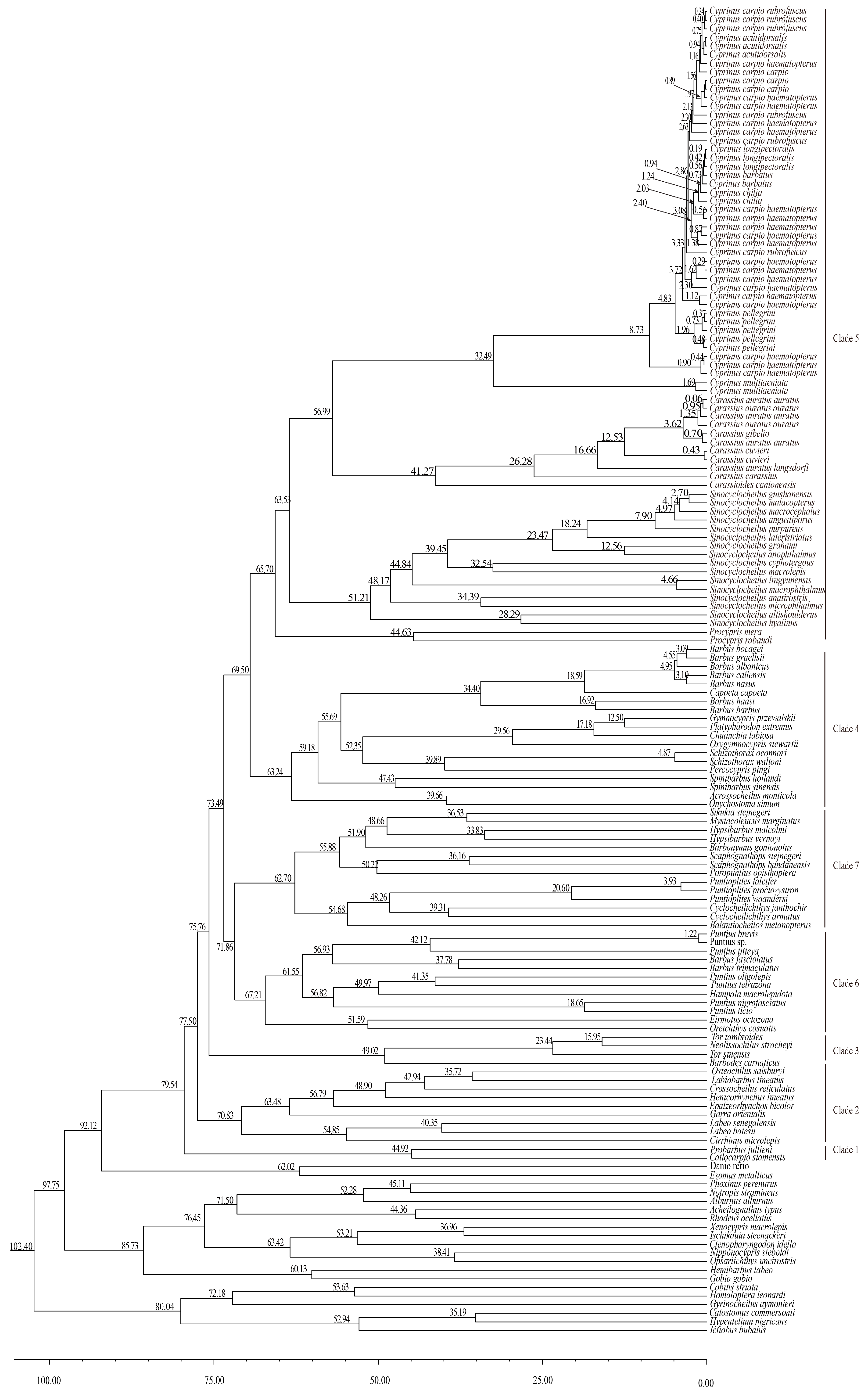 Fishes 10 00121 g003 Fishes 10 00121 g003