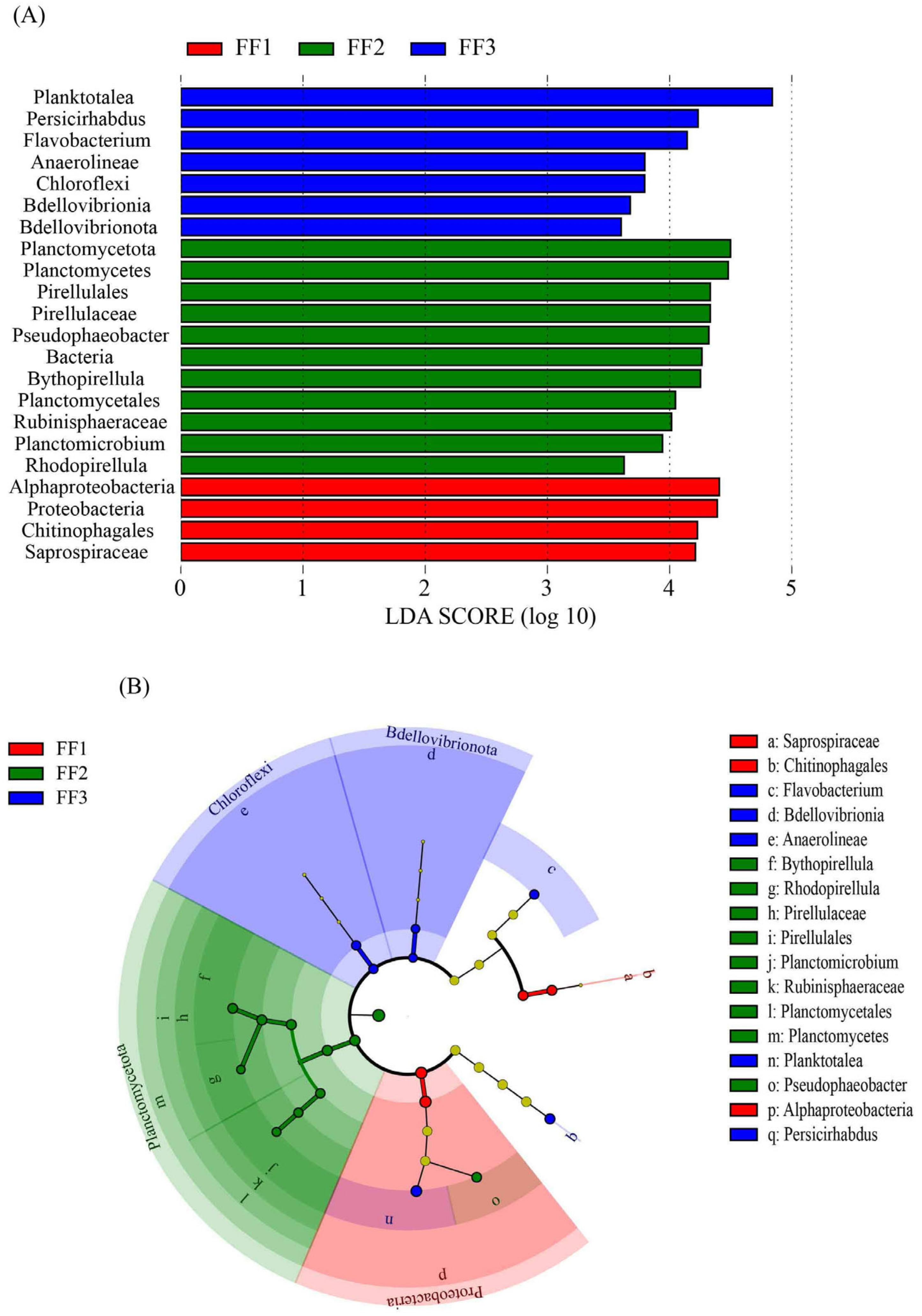 Fishes 10 00125 g008