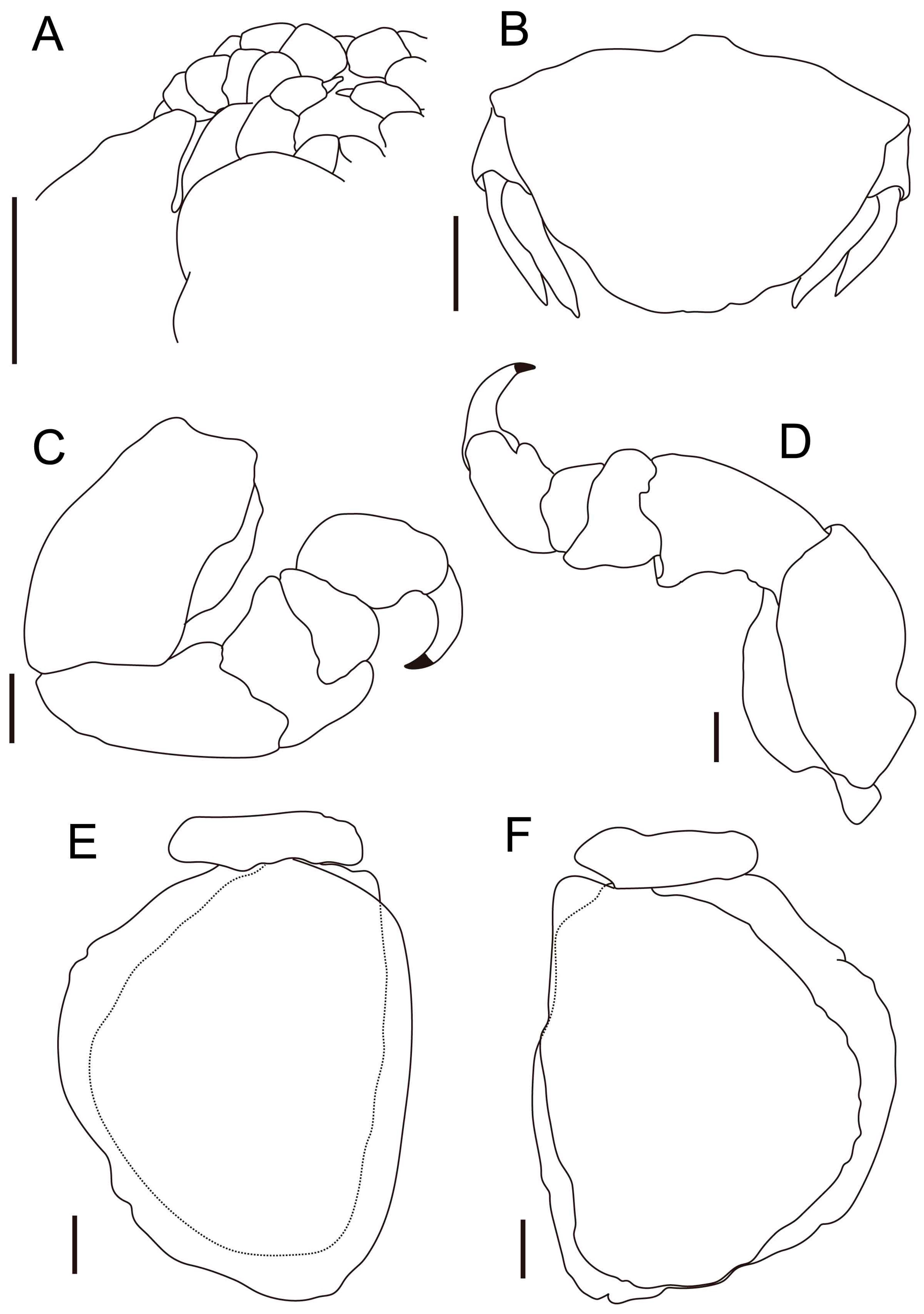 Fishes 10 00126 g002