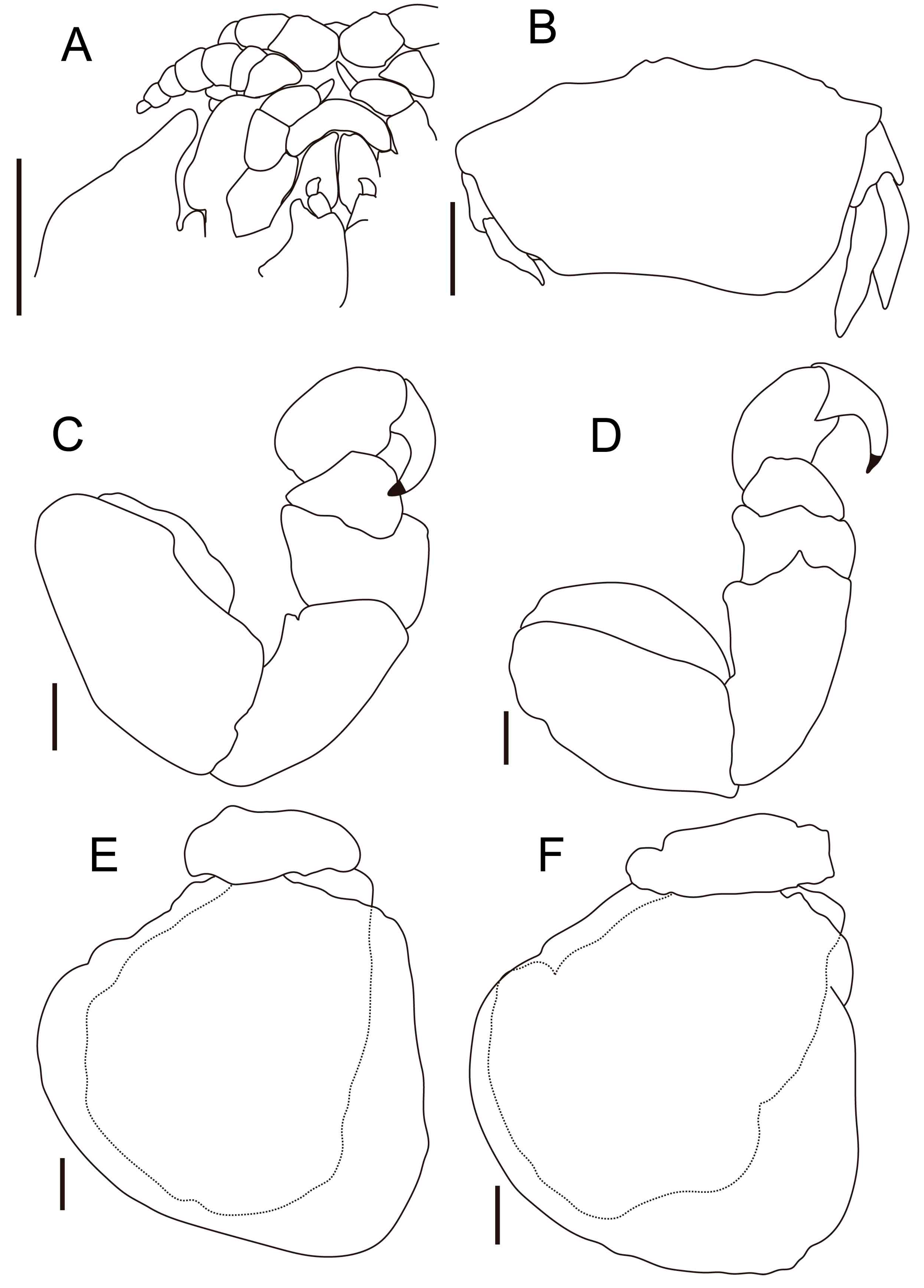 Fishes 10 00126 g003