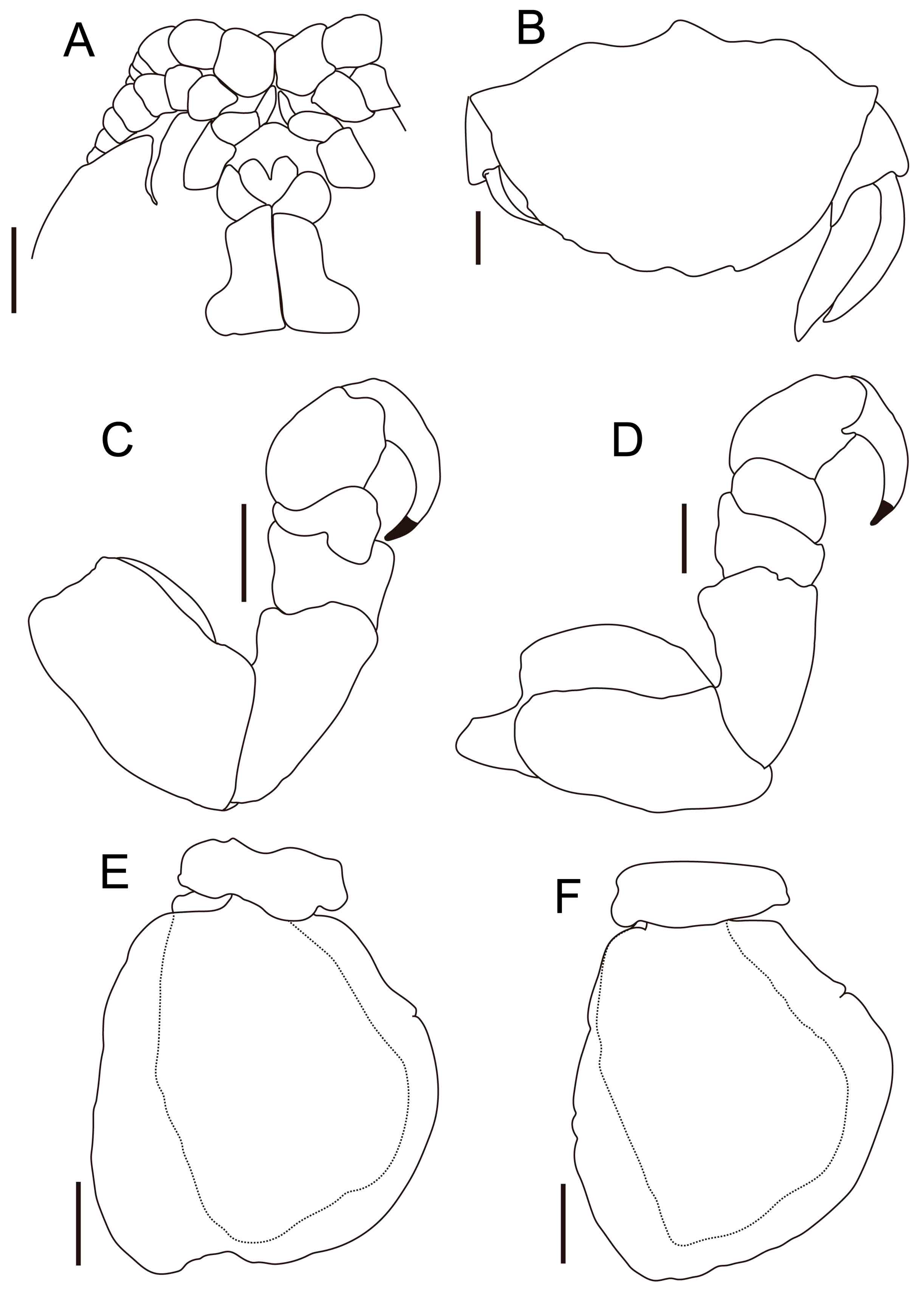 Fishes 10 00126 g004