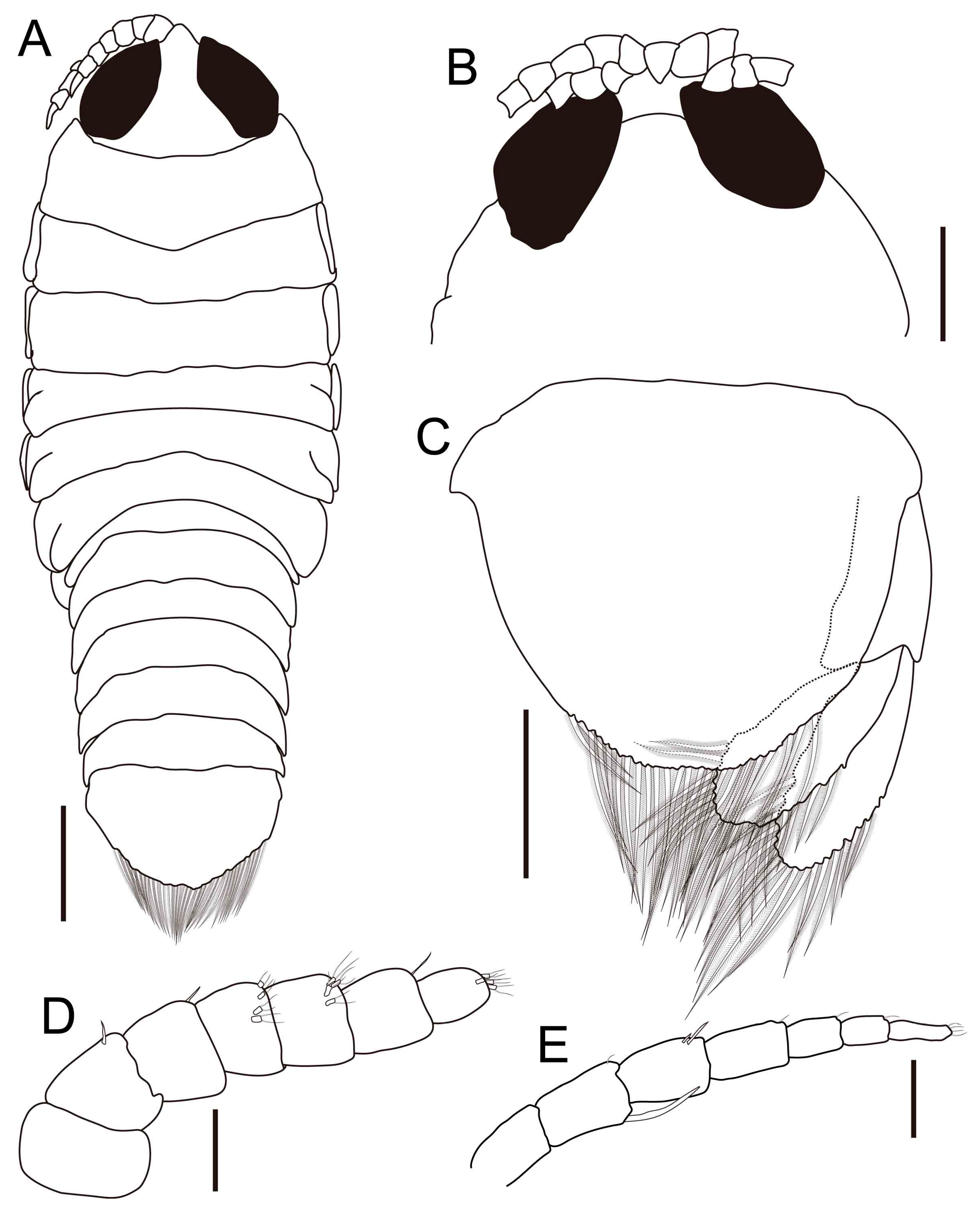 Fishes 10 00126 g005